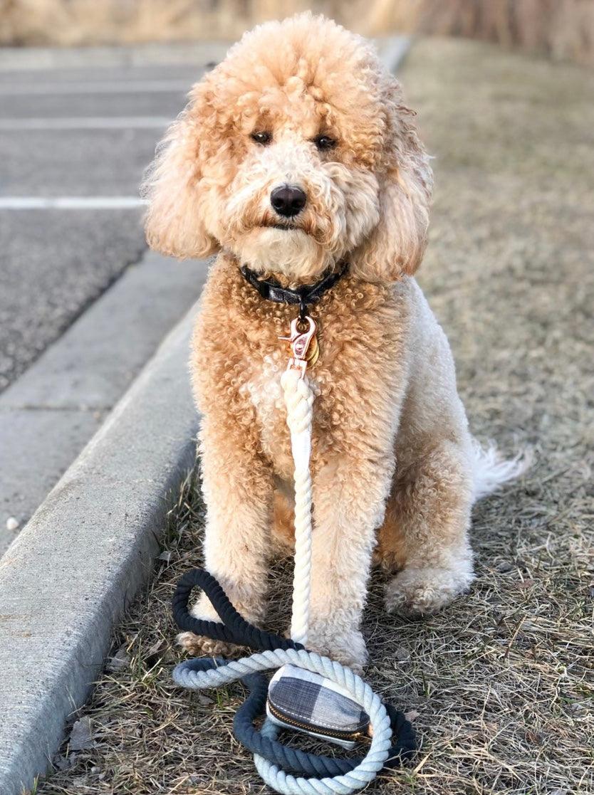 Cotton Rope Leash - Ombre Black (5ft, 100% Cotton)-1