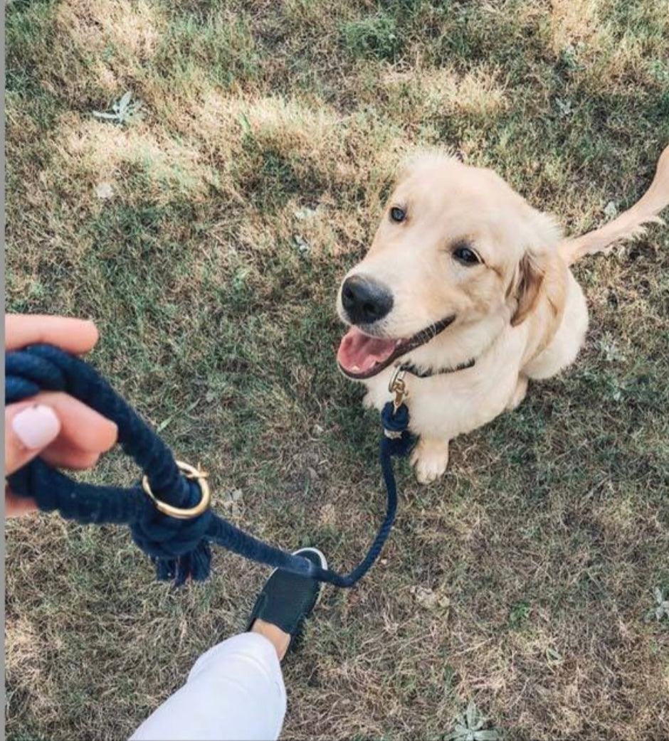 Cotton Rope Leash - Ombre Olive (5ft, 100% Cotton)-2