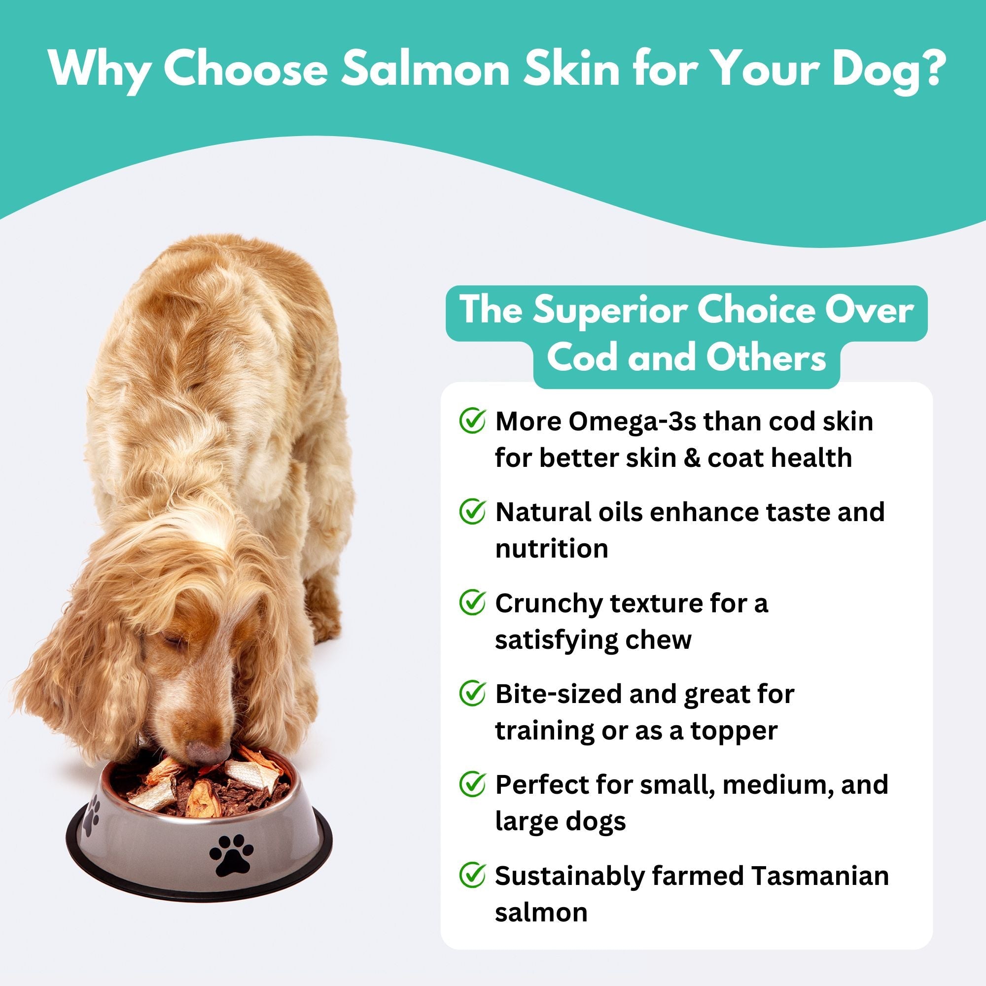 Australian Salmon Skin Dog Treats-4