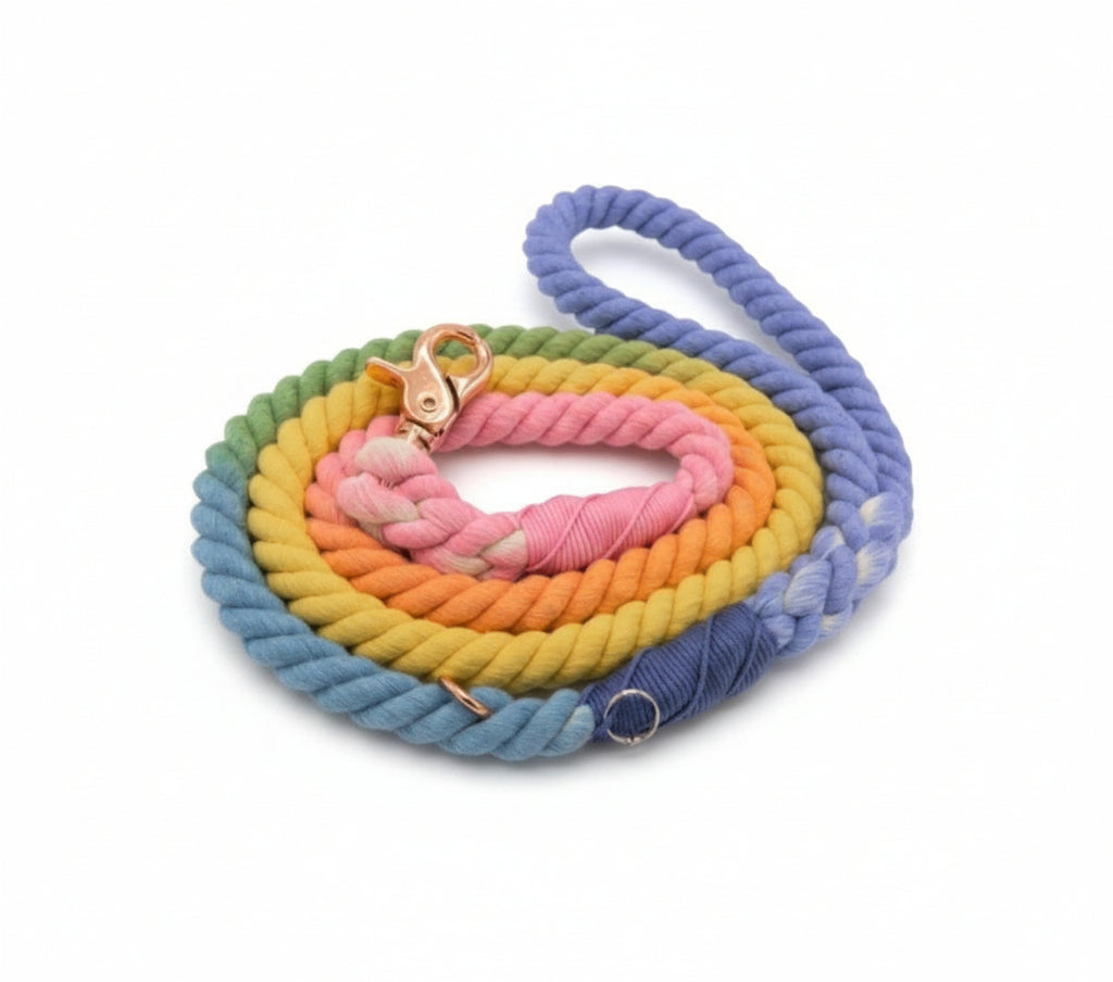 Cotton Rope Leash - Sprinkles (5ft, Ombre Multicolor)-0