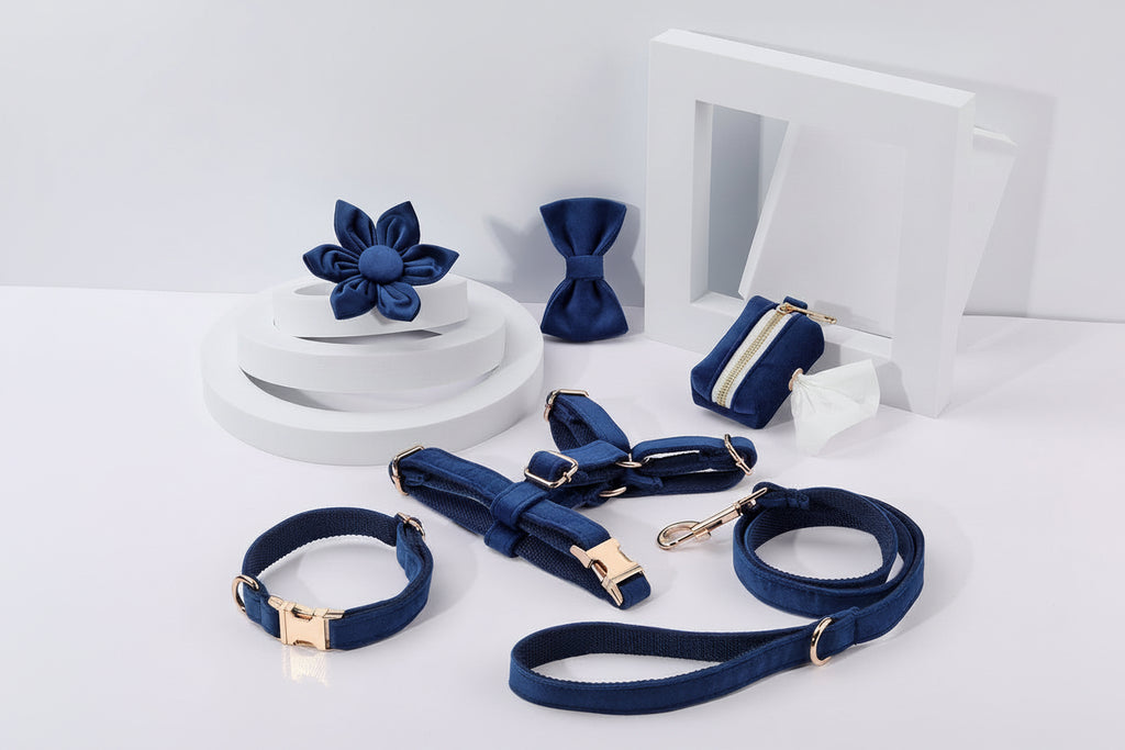 Step-In Floral Walking Bundle - Royal Blue (6-Piece Deluxe Set)-0