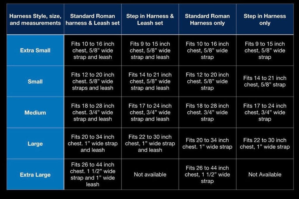 Step-In Floral Walking Bundle - Red (4-Piece Set)-2