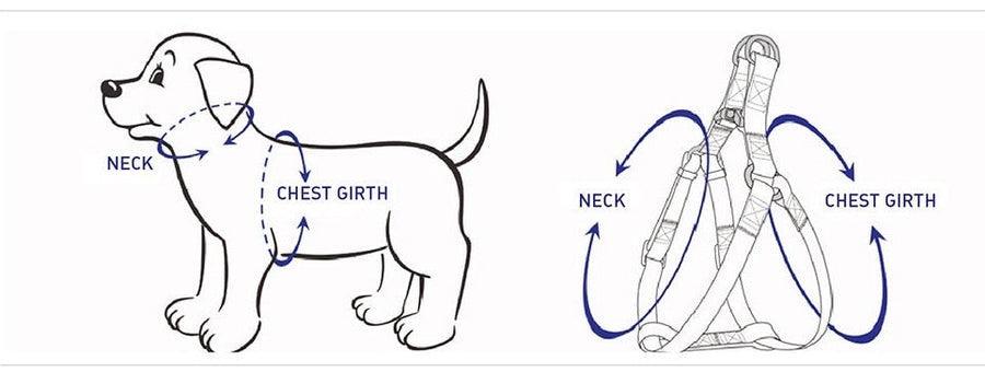 Step-In Floral Walking Bundle - Peacock Blue (4-Piece Set)-1