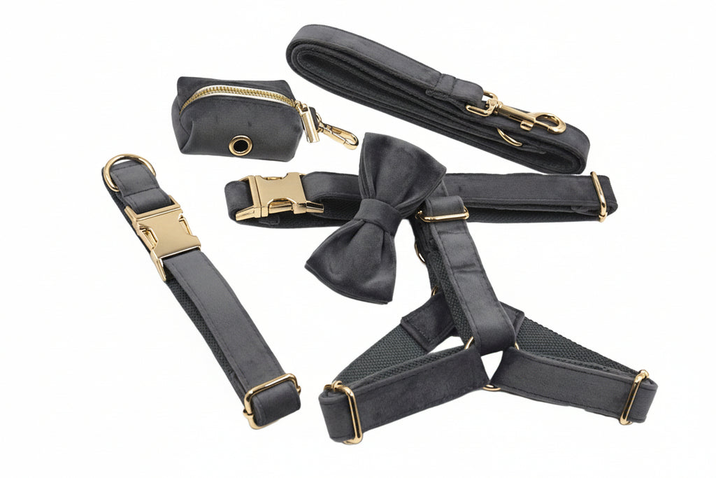 Step-In Walking Bundle - Dark Grey (5-Piece Full Set)-0