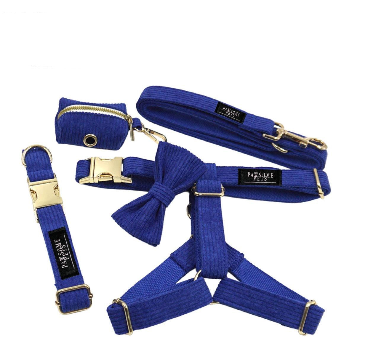 Step-In Walking Bundle - Blue (5-Piece Full Set)-0