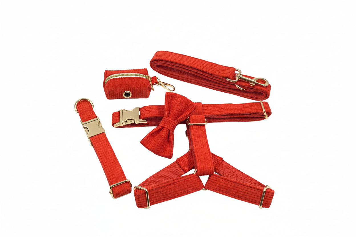Step-In Walking Bundle - Orange Red (5-Piece Full Set)-0
