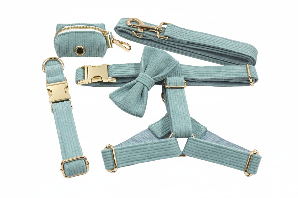 Step-In Walking Bundle - Light Blue (5-Piece Full Set)-0