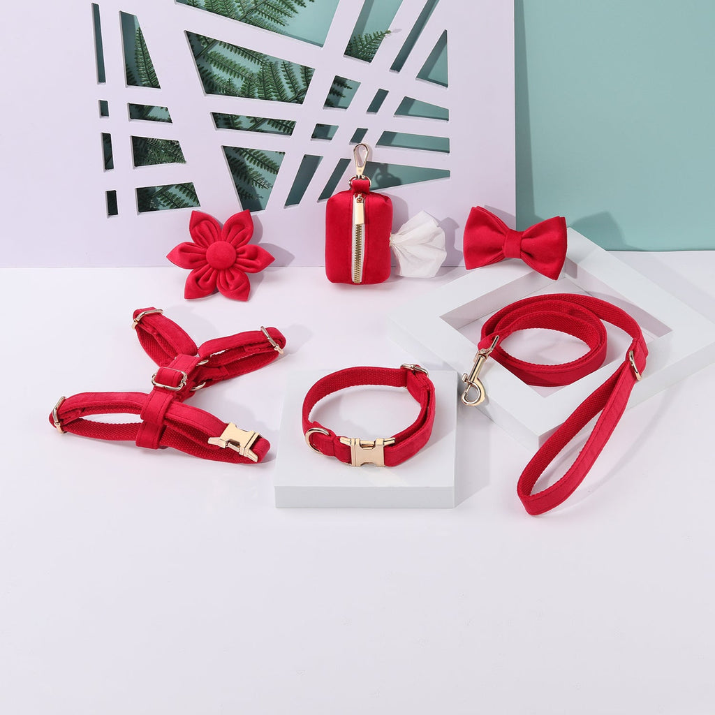 Step-In Floral Walking Bundle - Red (6-Piece Deluxe Set)-0