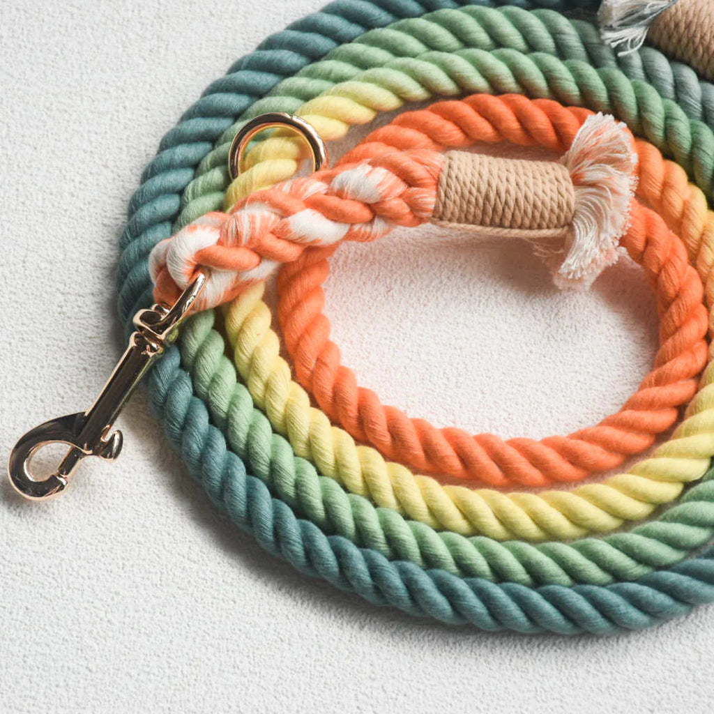 Hands-Free Dog Rope Leash - Forest Shade (5ft, 100% Cotton)-2