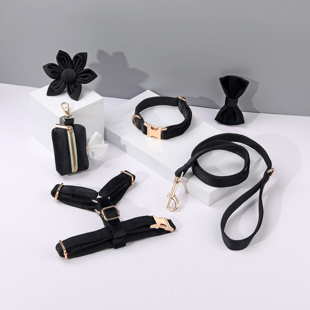 Step-In Floral Walking Bundle - Black (6-Piece Deluxe Set)-0