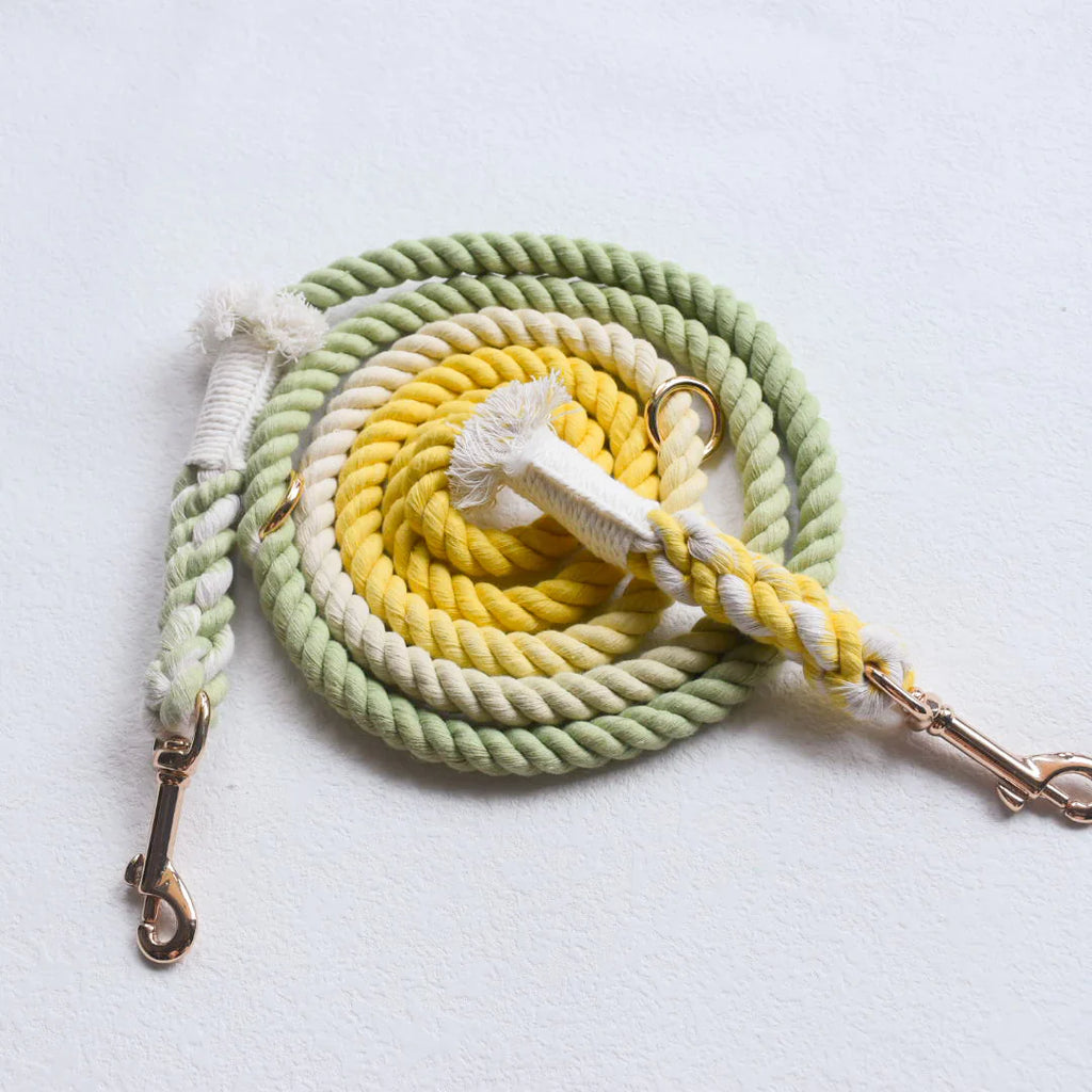 Hands-Free Dog Rope Leash - Lime Lemonade (5ft, 100% Cotton)-1