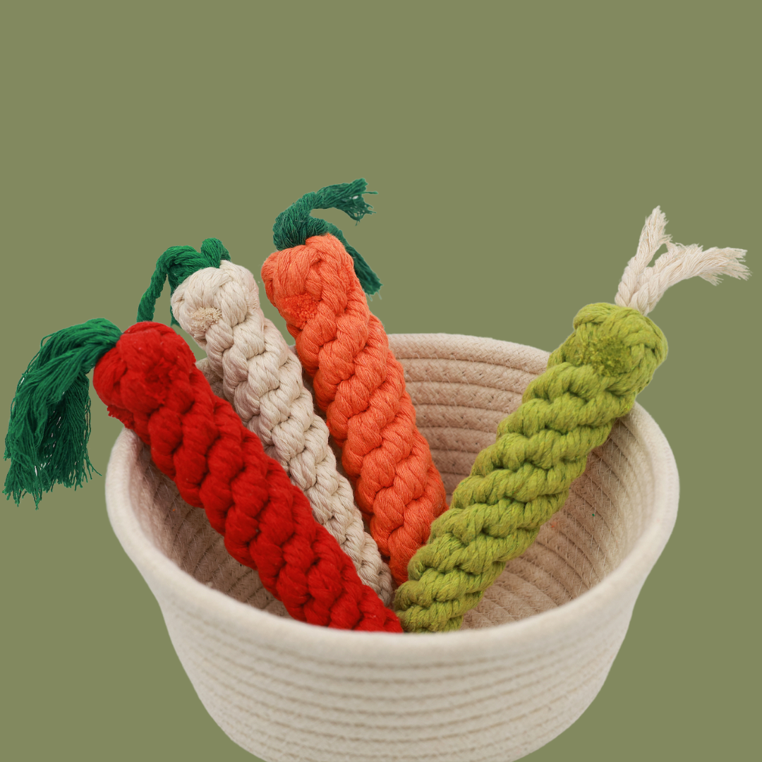 Palatable Carrot Rope Toys | Whimsical & Handcrafted - Small to Medium Dog