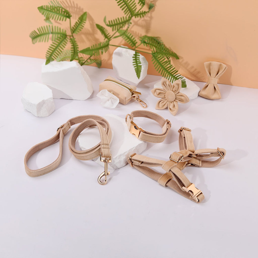 Step-In Floral Walking Bundle - Beige (6-Piece Deluxe Set)-0