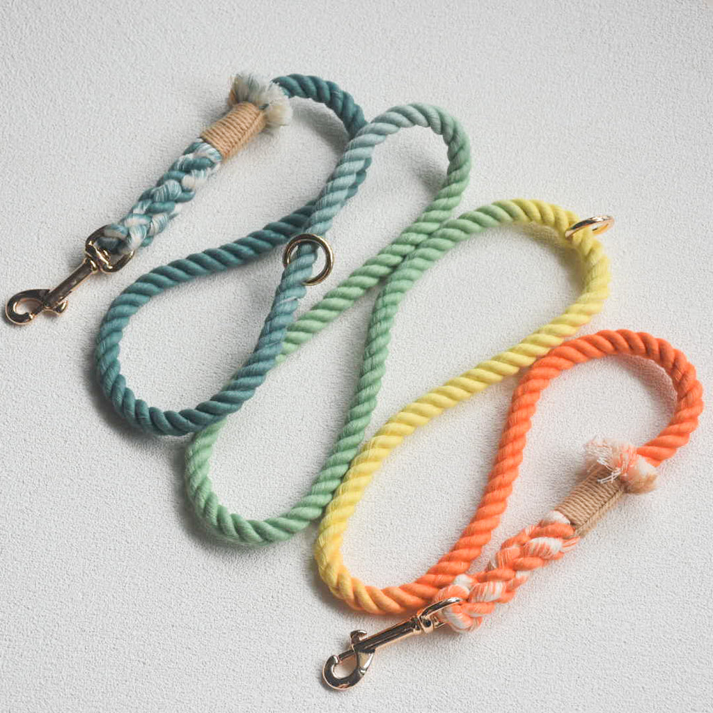 Hands-Free Dog Rope Leash - Forest Shade (5ft, 100% Cotton)-0