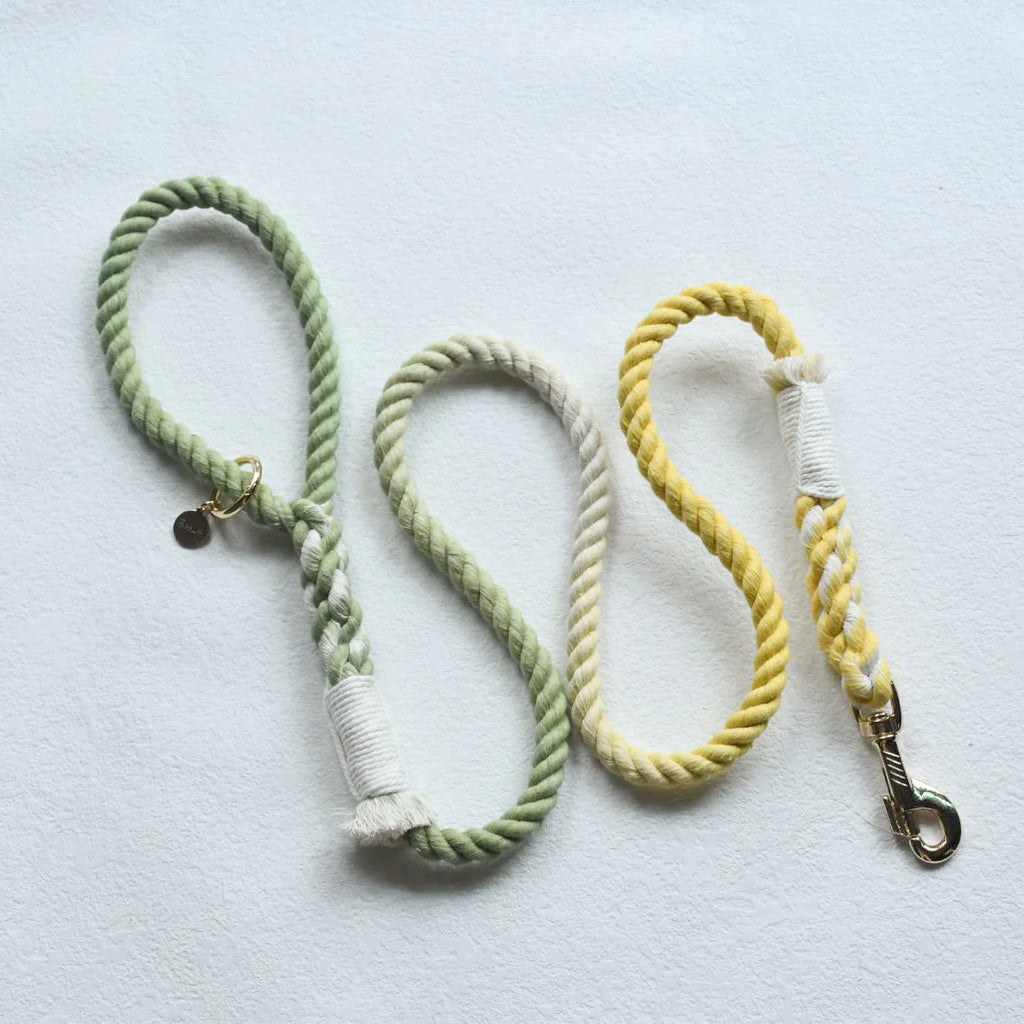 Hands-Free Dog Rope Leash - Lime Lemonade (5ft, 100% Cotton)-2