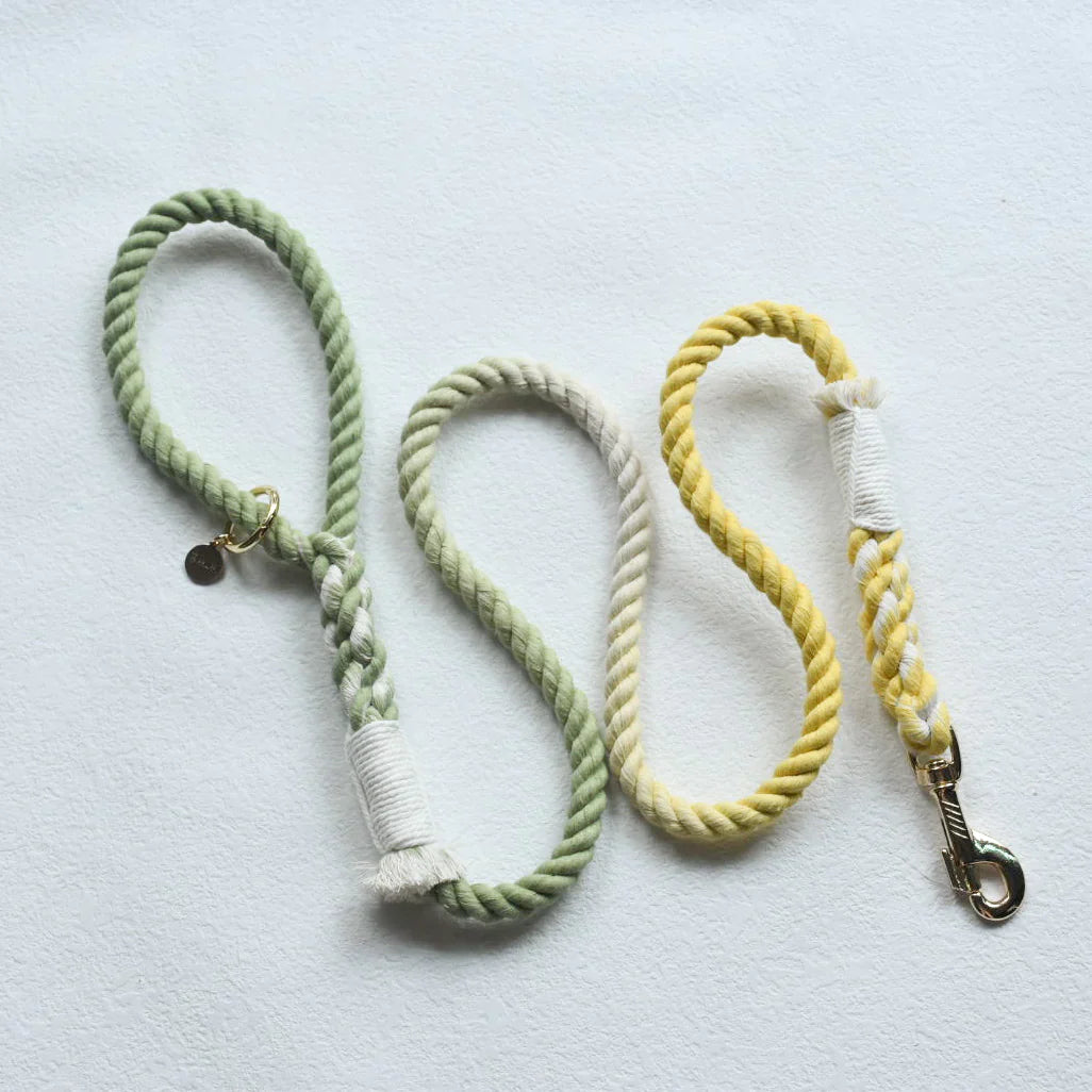 Hands-Free Dog Rope Leash - Lime Lemonade (5ft, 100% Cotton)-2