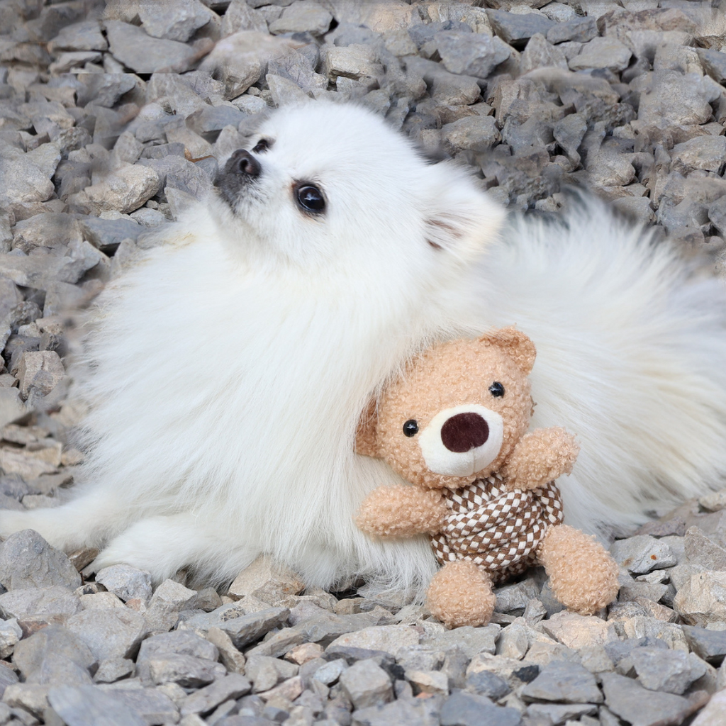 Squeaky Rope Buddies | Plush & Rope Interactive Toy - Small to Medium Dog