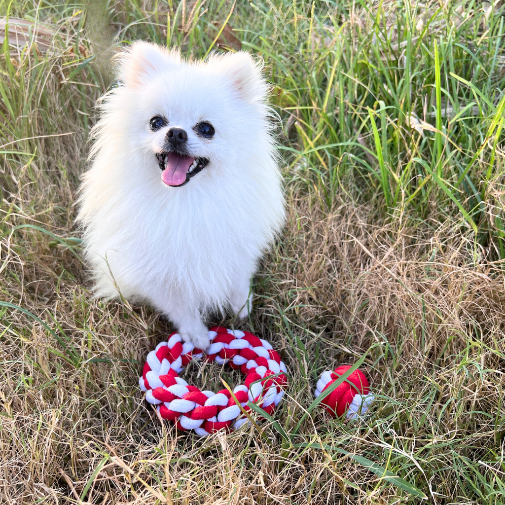 Christmas Monkey Fist Tug Rope Toys Set | Festive & Durable - Small to Medium Dog