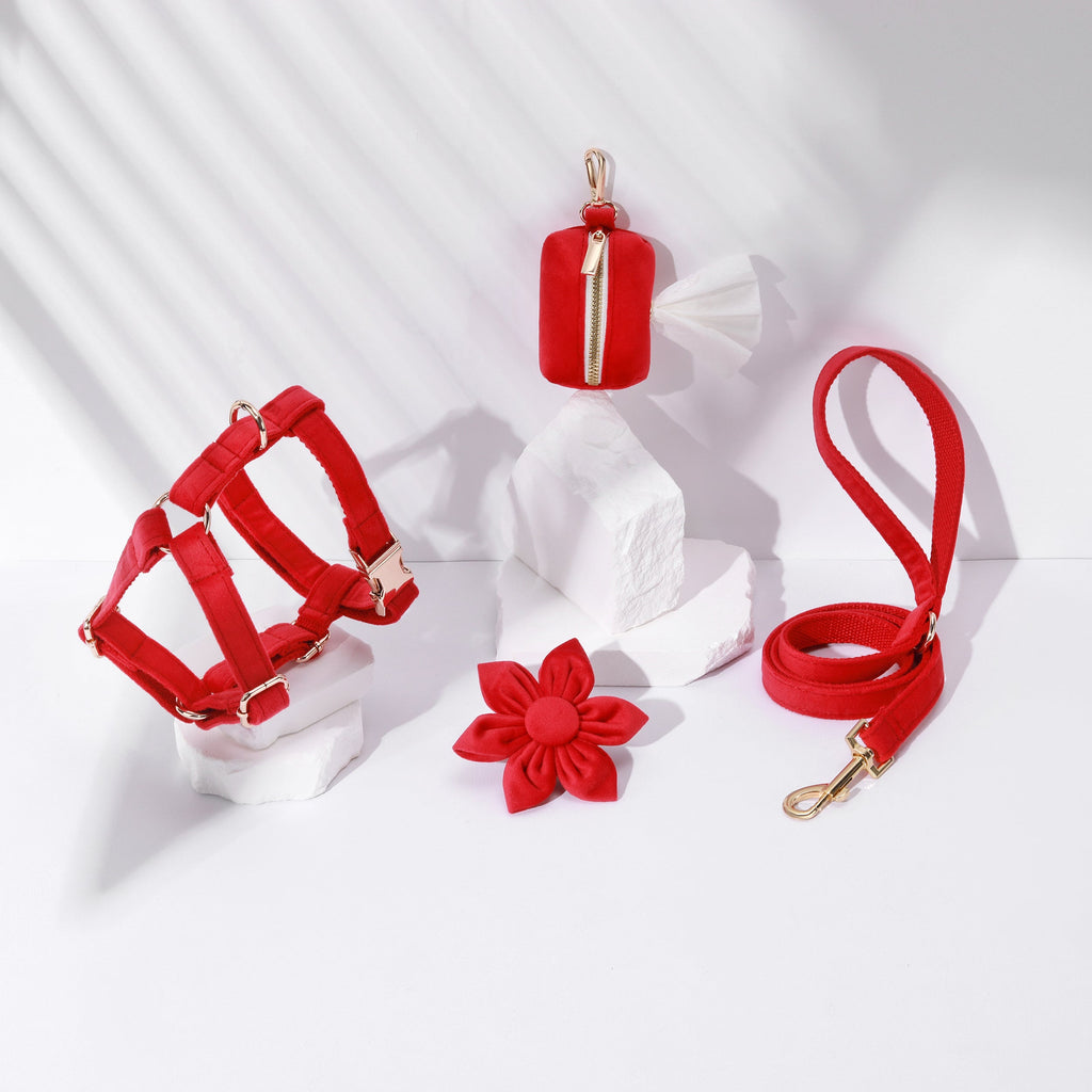 Step-In Floral Walking Bundle - Red (4-Piece Set)-0