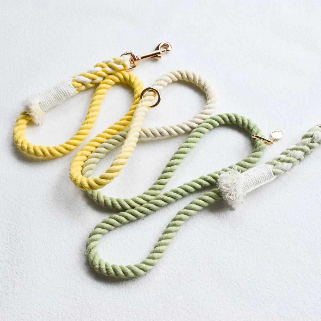 Hands-Free Dog Rope Leash - Lime Lemonade (5ft, 100% Cotton)-0