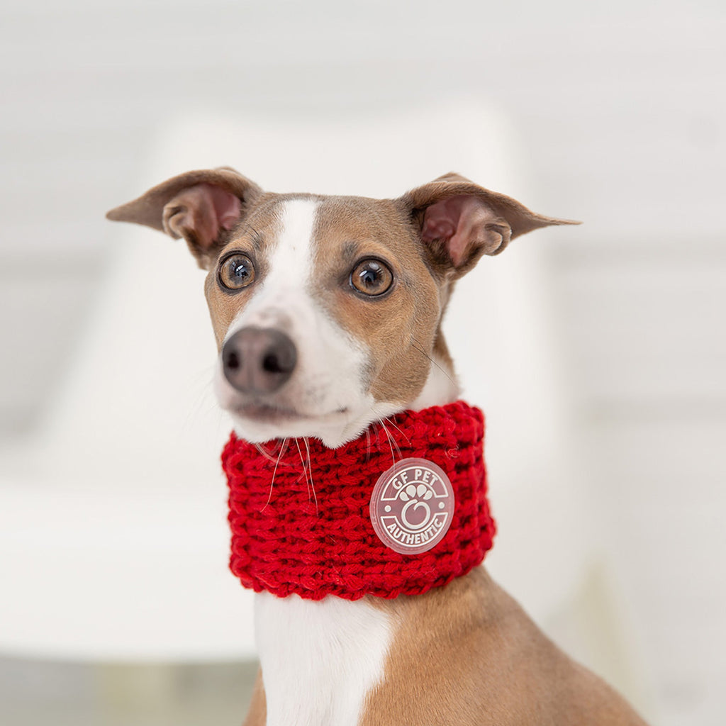 GF PET® Chalet Tube Scarf - Red (Matching Dog & Owner Knit Scarf)