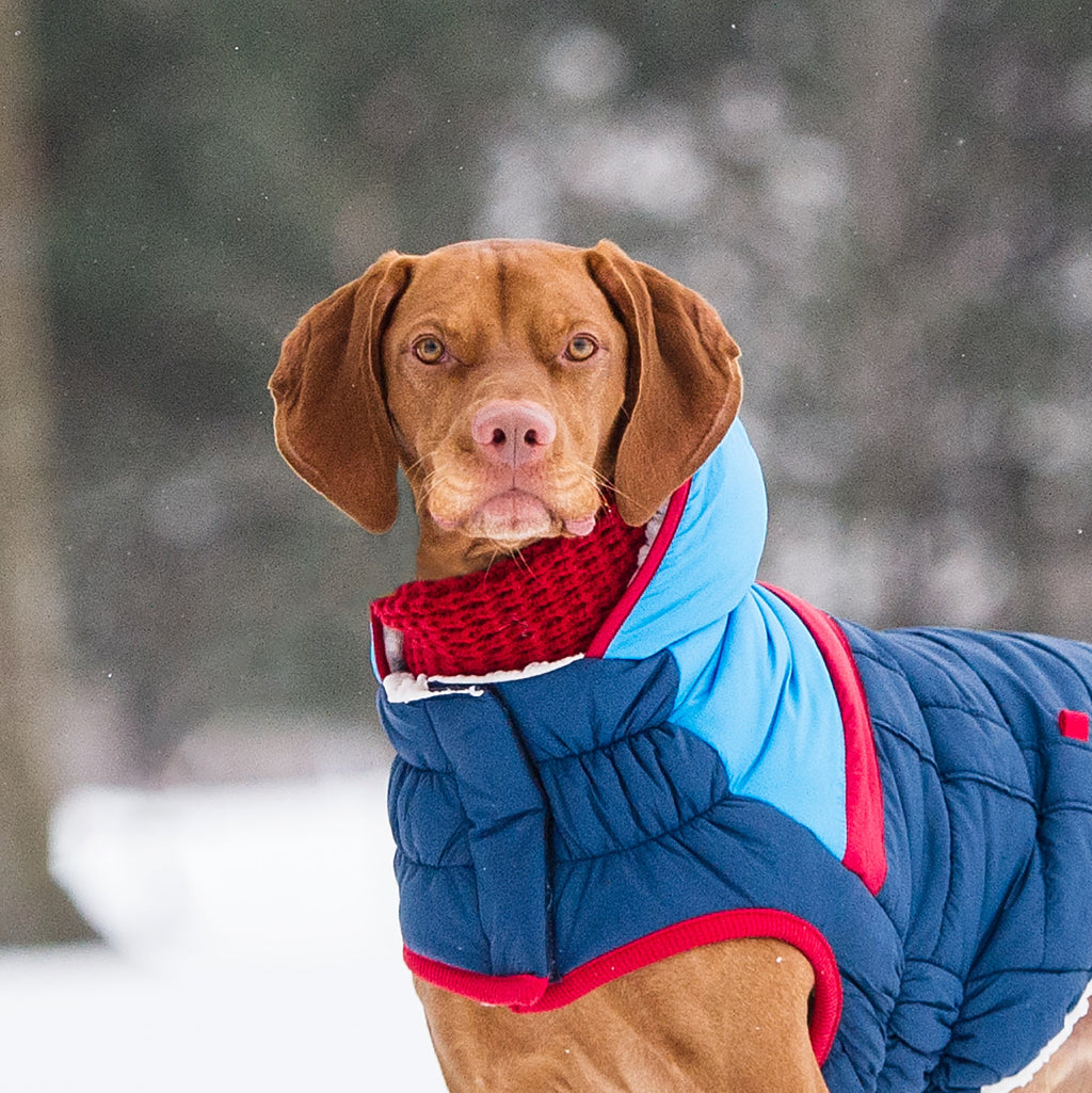 GF PET® Chalet Tube Scarf - Red (Matching Dog & Owner Knit Scarf)