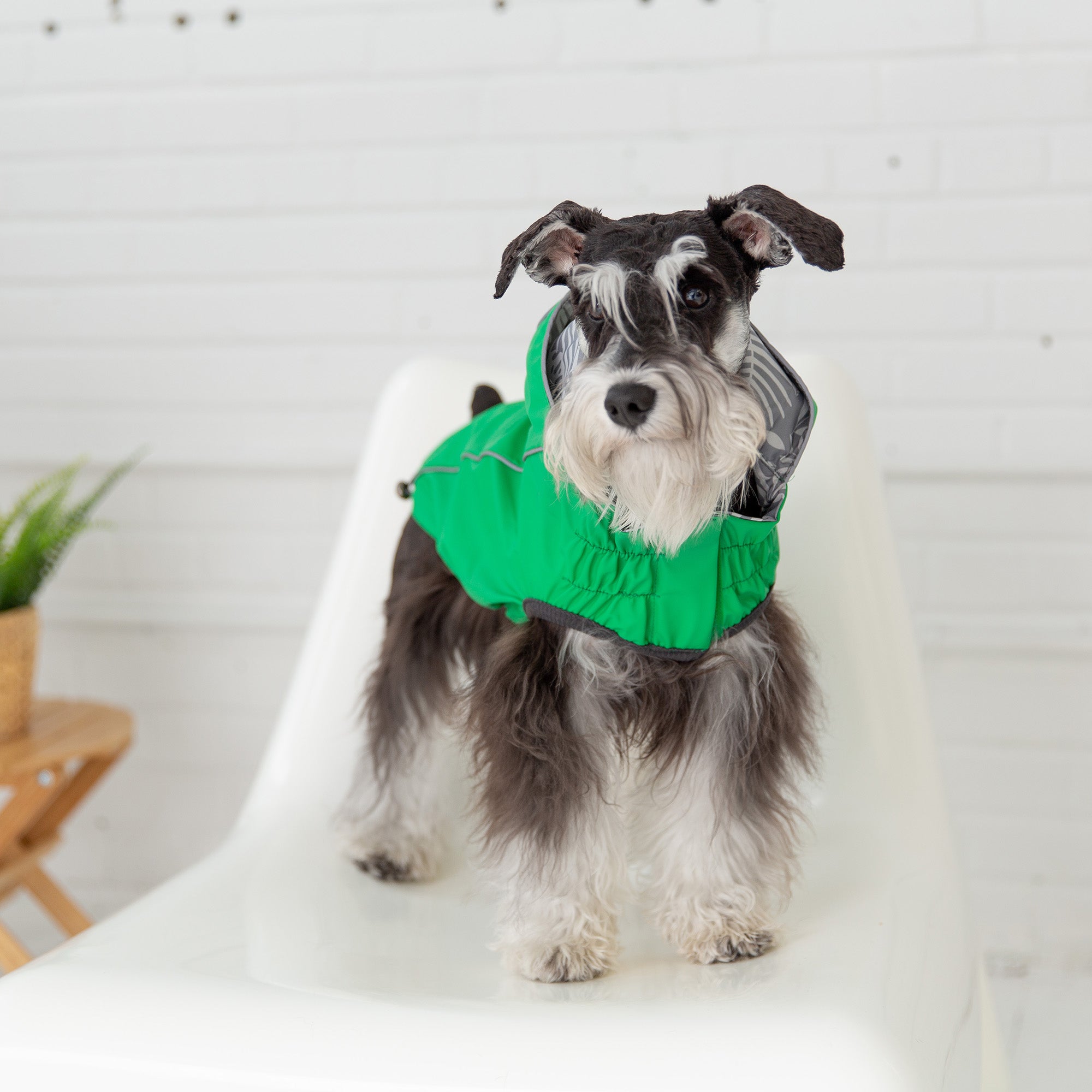 GF PET® Reversible Elasto-Fit Raincoat - Green (Buttery-Soft Waterproof Shell