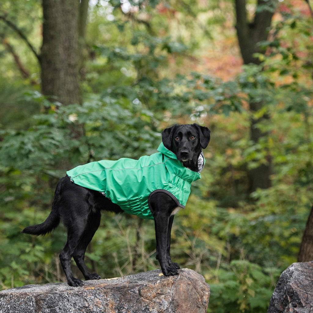GF PET® Reversible Elasto-Fit Raincoat - Green (Buttery-Soft Waterproof Shell