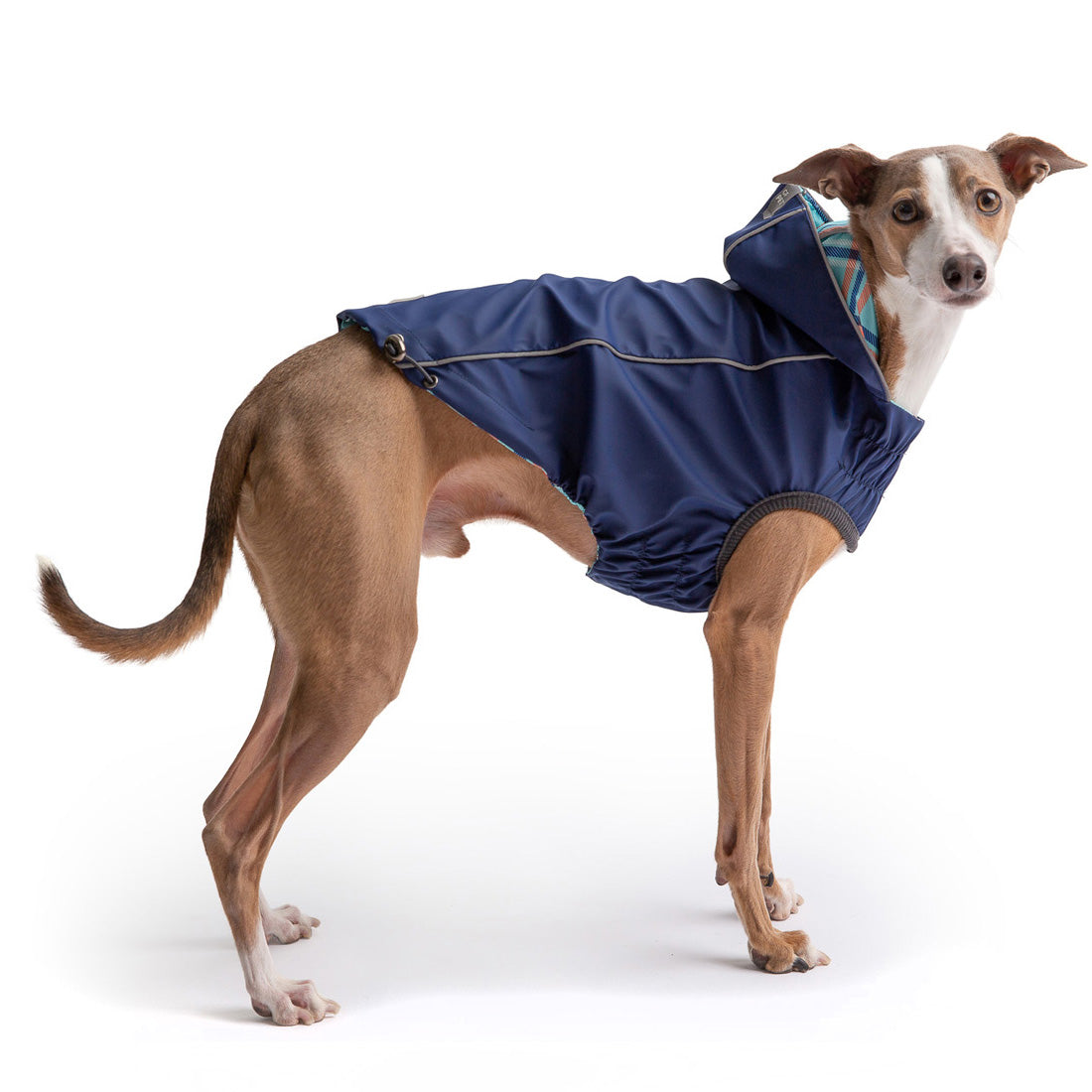 GF PET® Reversible Elasto-Fit Raincoat - Navy (Premium 2-in-1 Waterproof Shell)