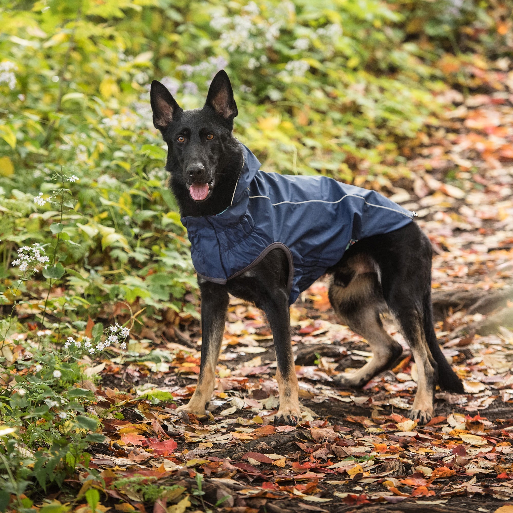 GF PET® Reversible Elasto-Fit Raincoat - Navy (Premium 2-in-1 Waterproof Shell)