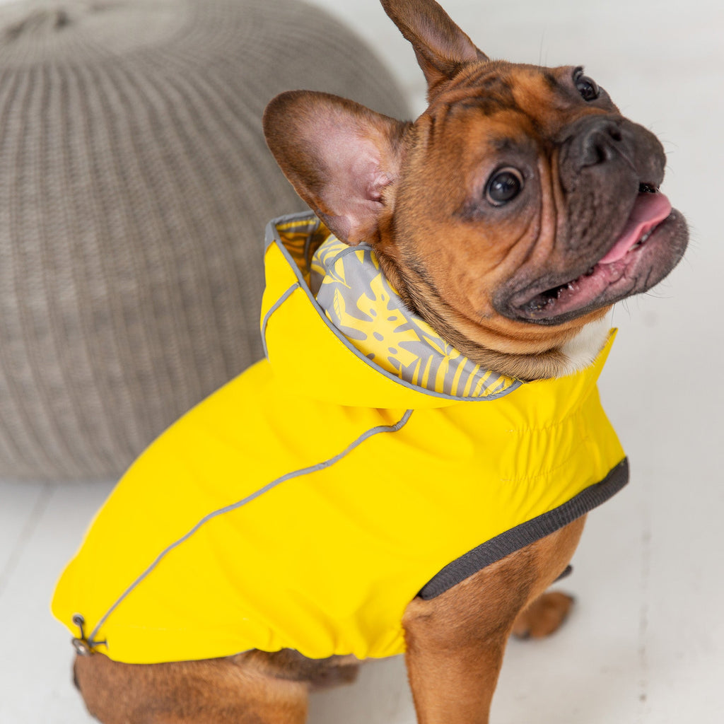 GF PET® Reversible Elasto-Fit Raincoat - Yellow (Classic High-Visibility Shell)