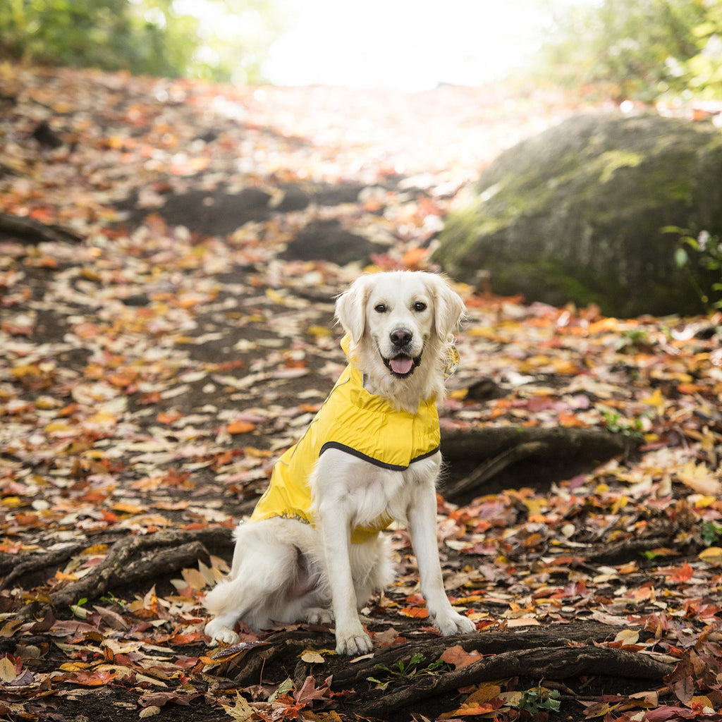 GF PET® Reversible Elasto-Fit Raincoat - Yellow (Classic High-Visibility Shell)