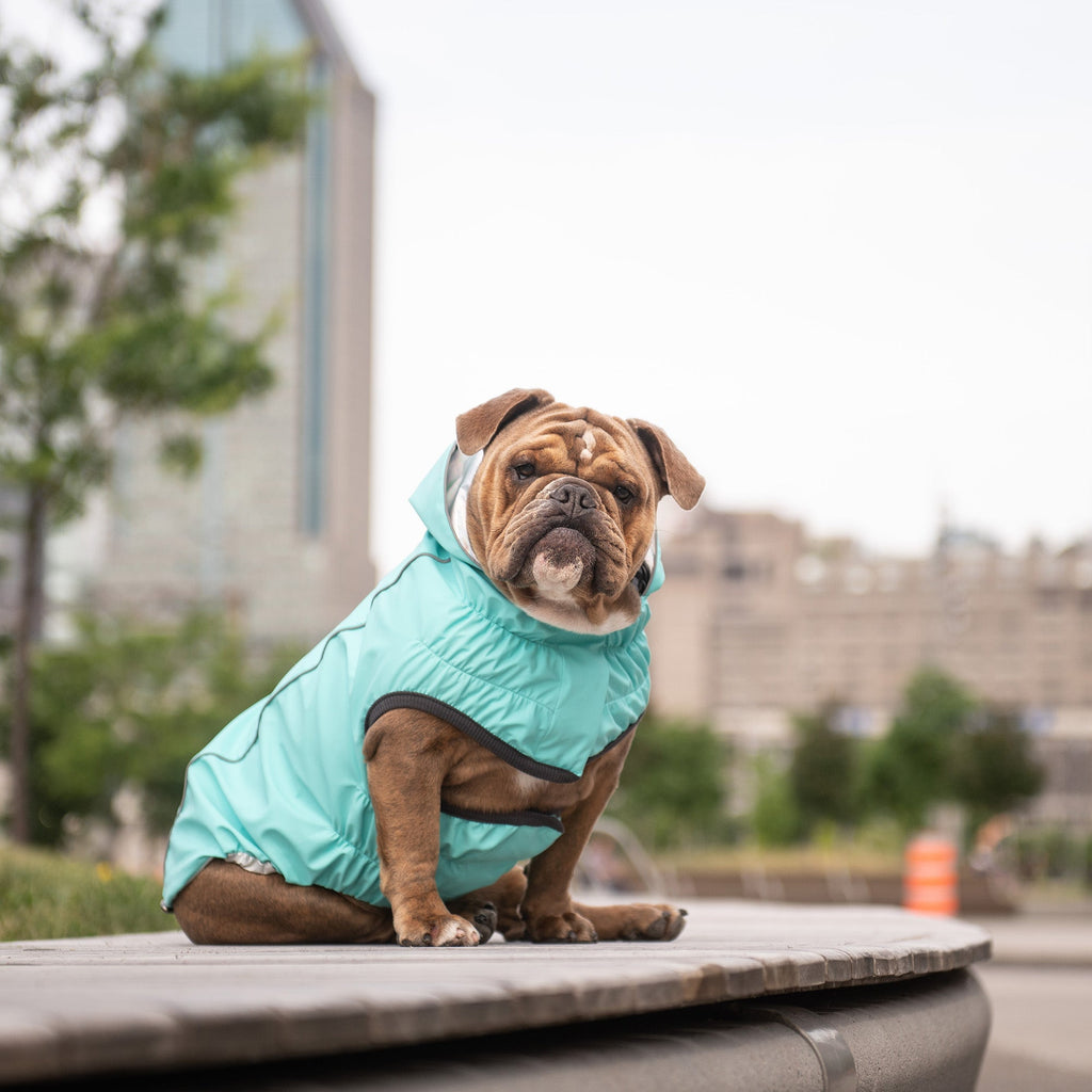 GF PET® Reversible Raincoat - Neon Aqua & Iridescent (Glow-in-the-Rain 2-in-1 Shell)