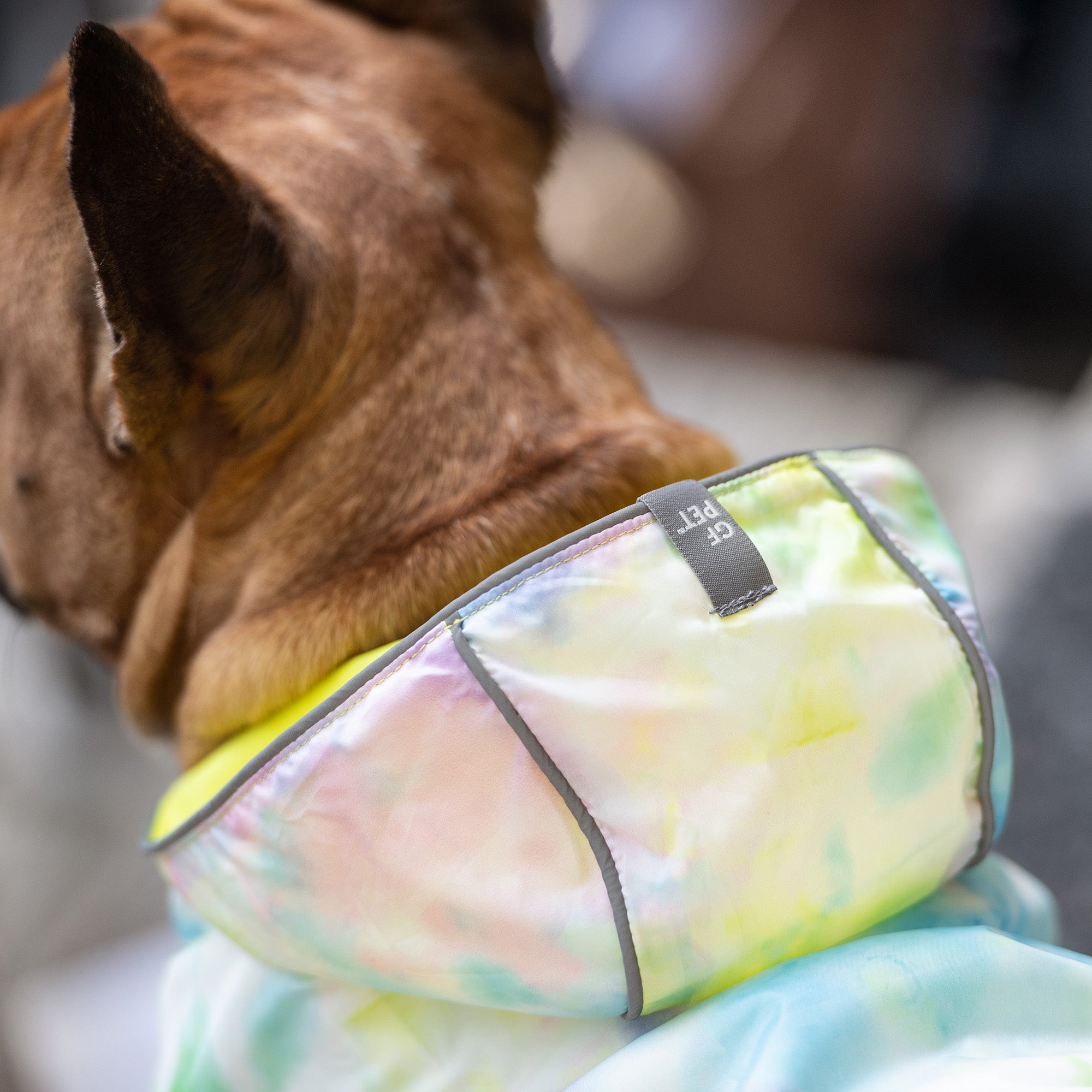 GF PET® Reversible Raincoat - Neon Yellow & Tie Dye (Trendy 2-in-1 Waterproof Shell)