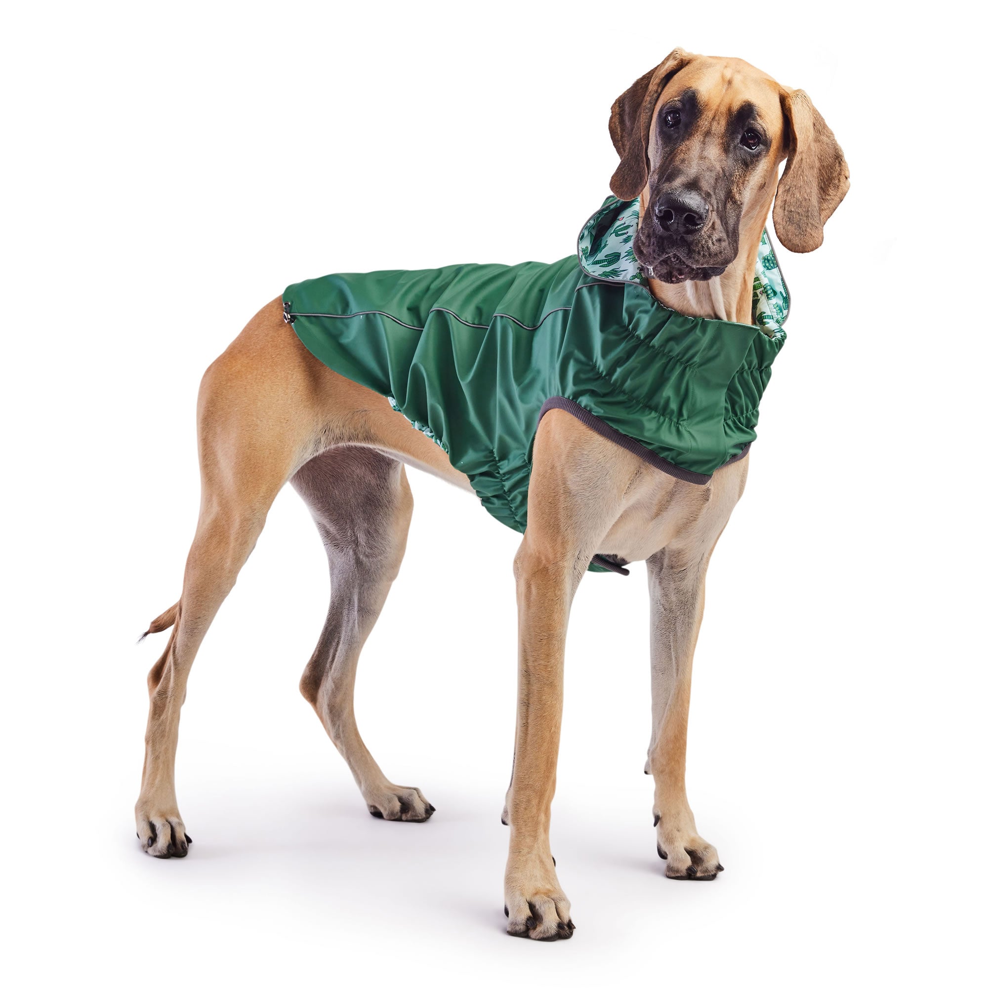 GF PET® Reversible Elasto-Fit Raincoat - Green/Green (Premium Soft Waterproof Shell)