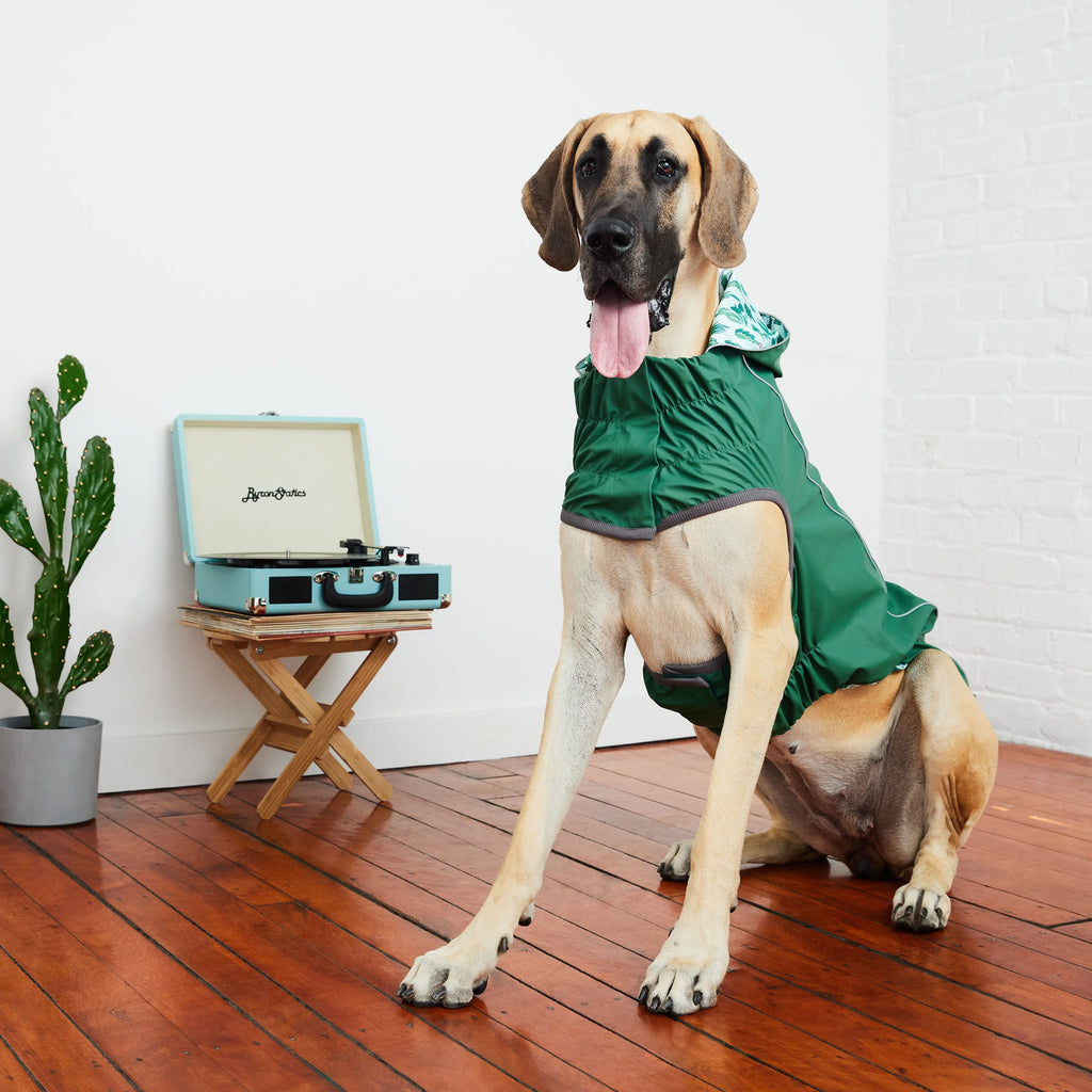 GF PET® Reversible Elasto-Fit Raincoat - Green/Green (Premium Soft Waterproof Shell)