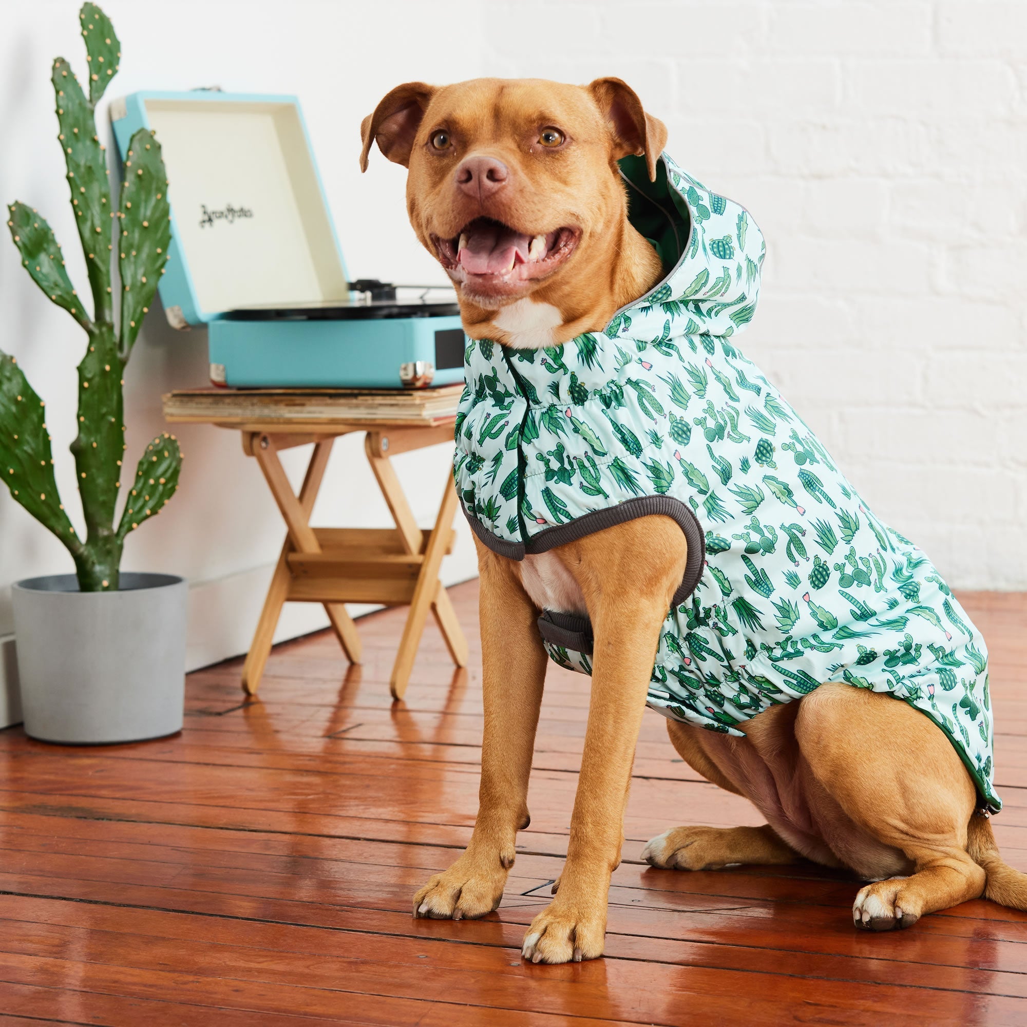 GF PET® Reversible Elasto-Fit Raincoat - Green/Green (Premium Soft Waterproof Shell)