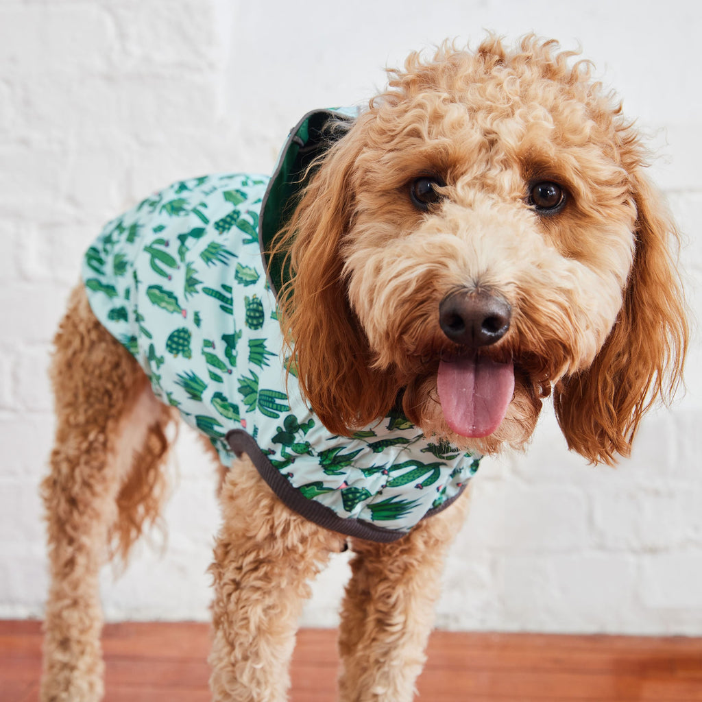 GF PET® Reversible Elasto-Fit Raincoat - Green/Green (Premium Soft Waterproof Shell)