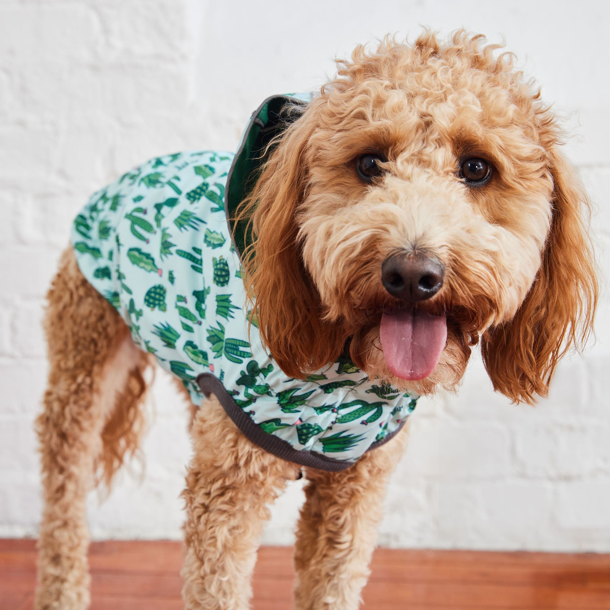 GF PET® Reversible Elasto-Fit Raincoat - Green/Green (Premium Soft Waterproof Shell)