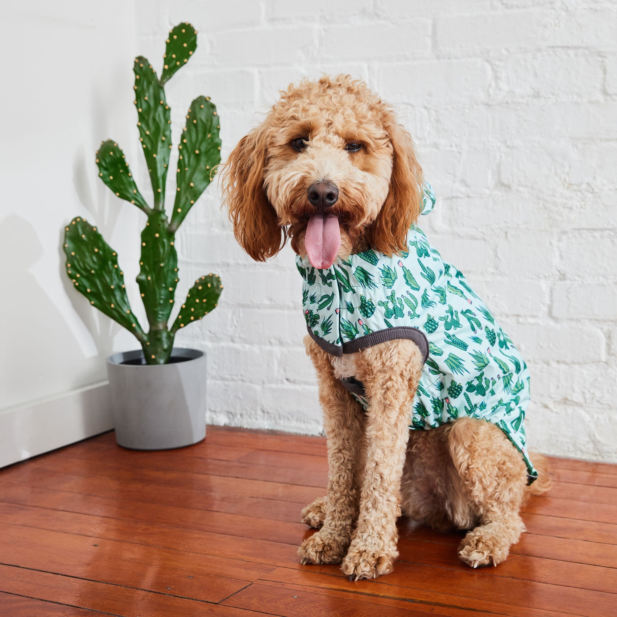 GF PET® Reversible Elasto-Fit Raincoat - Green/Green (Premium Soft Waterproof Shell)