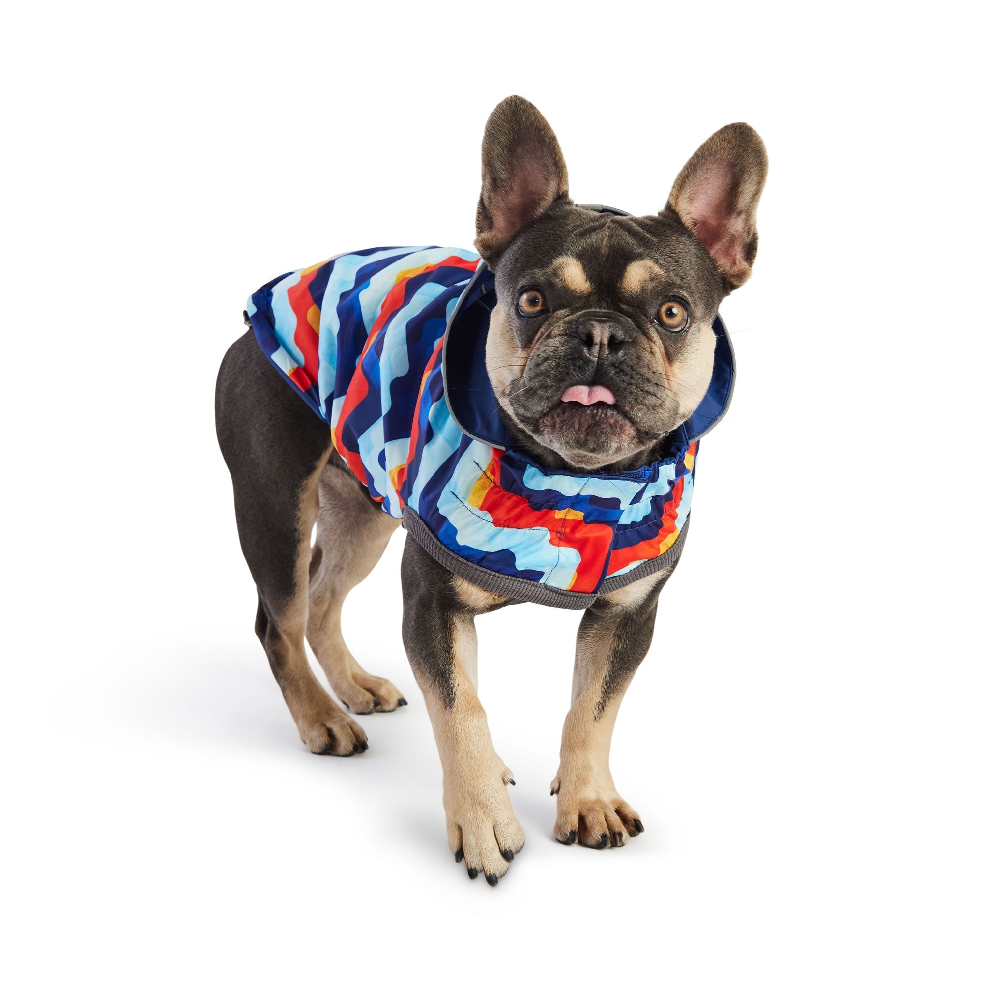 GF PET® Reversible Elasto-Fit Raincoat - Navy/Navy (Buttery Soft Waterproof Shell)