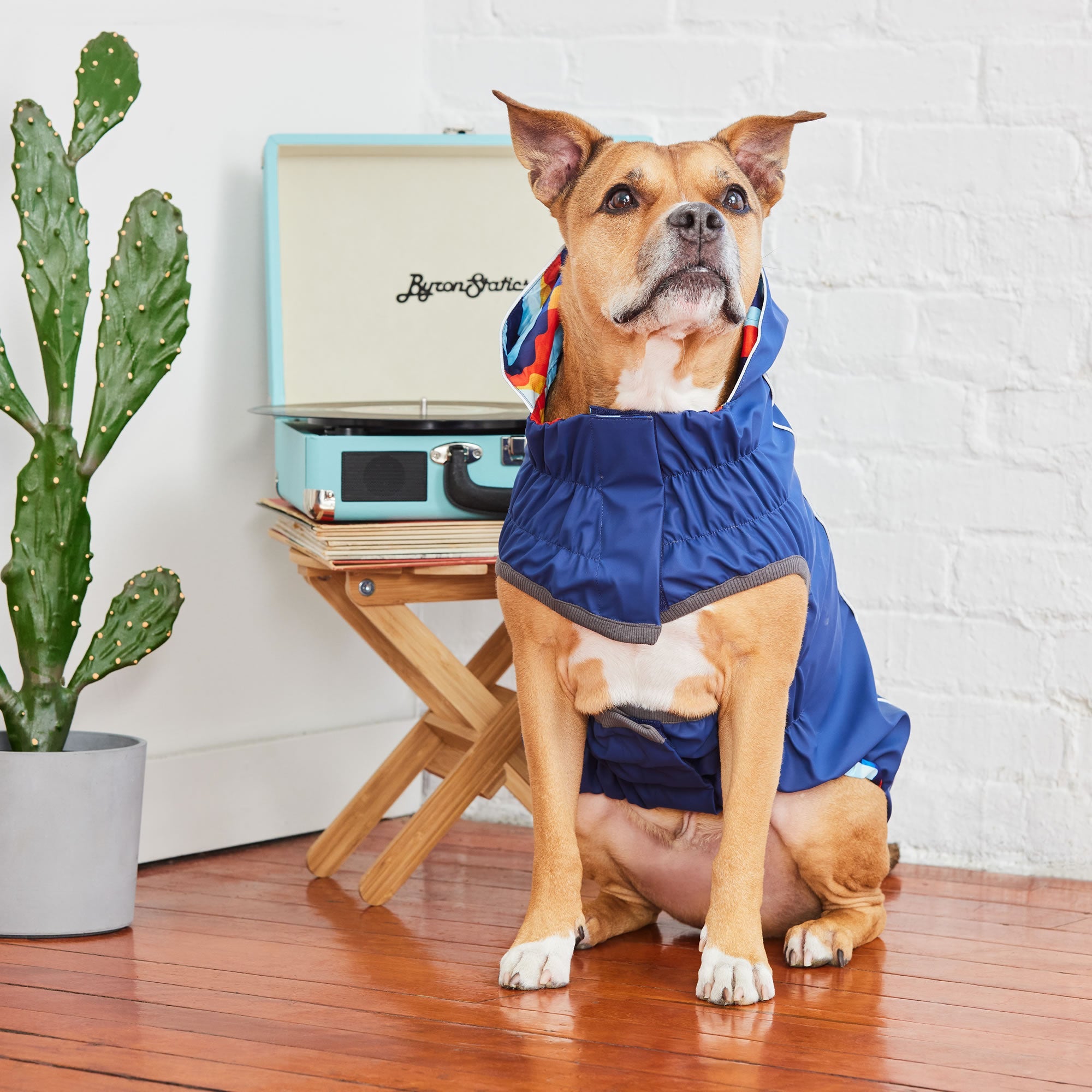 GF PET® Reversible Elasto-Fit Raincoat - Navy/Navy (Buttery Soft Waterproof Shell)