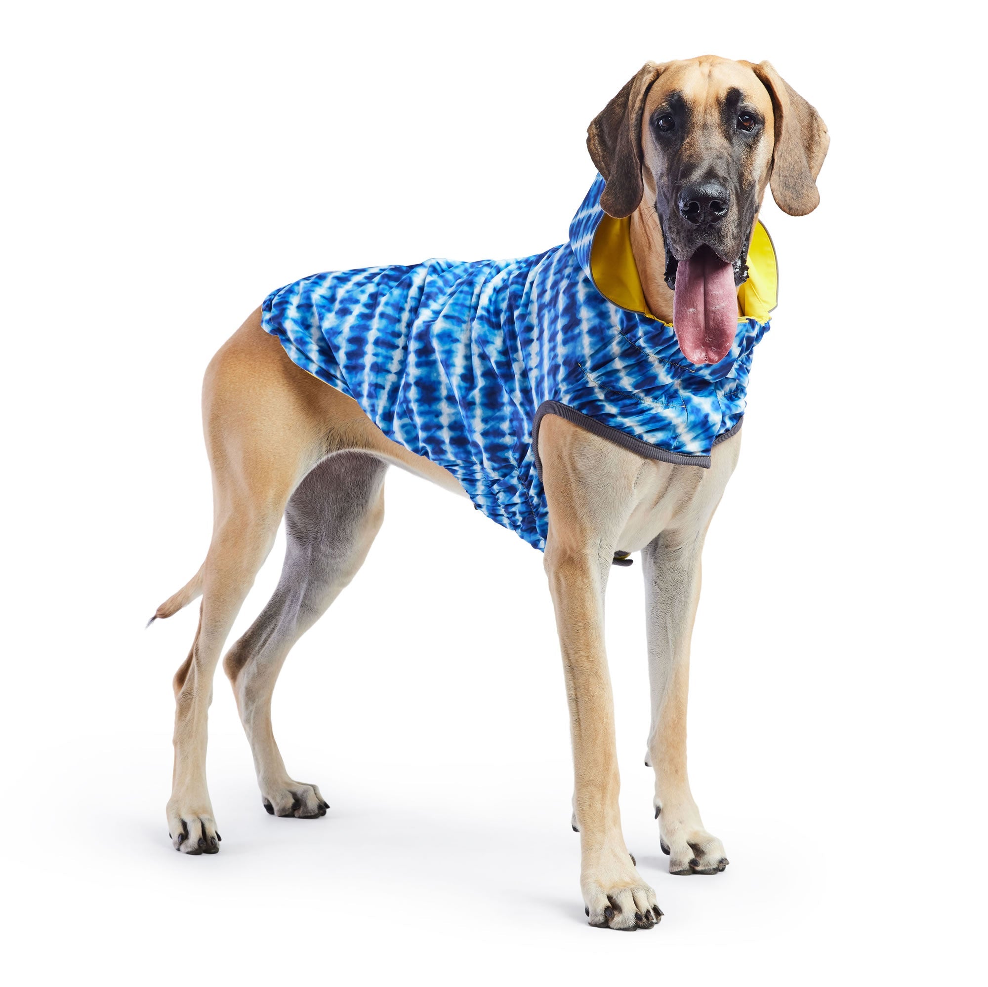GF PET® Reversible Elasto-Fit Raincoat - Yellow/Blue (Buttery-Soft Waterproof Shell)
