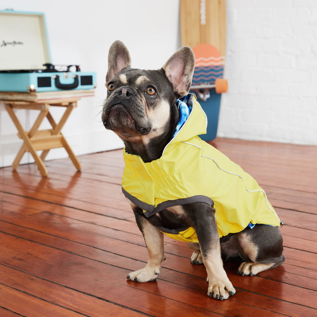 GF PET® Reversible Elasto-Fit Raincoat - Yellow/Blue (Buttery-Soft Waterproof Shell)