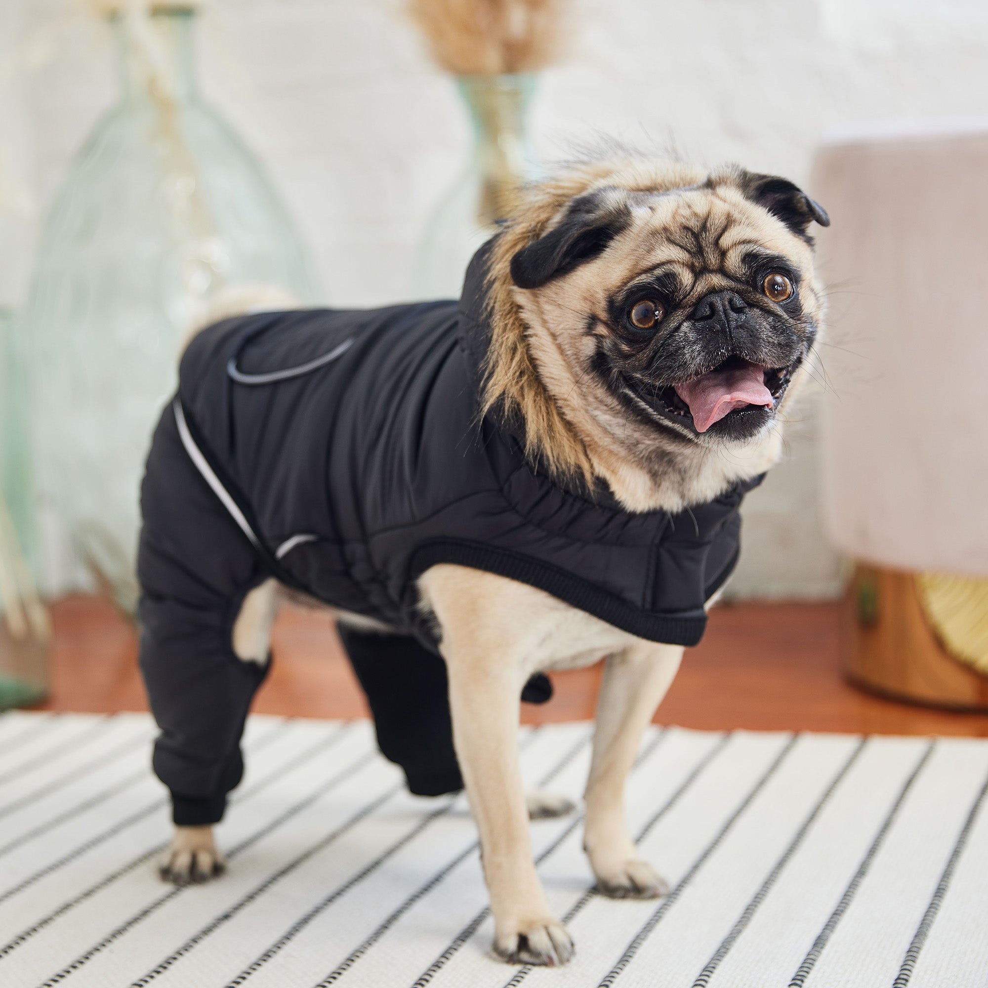 GF PET® Creekside 2-Piece Dog Snowsuit - Black (Detachable Pants)