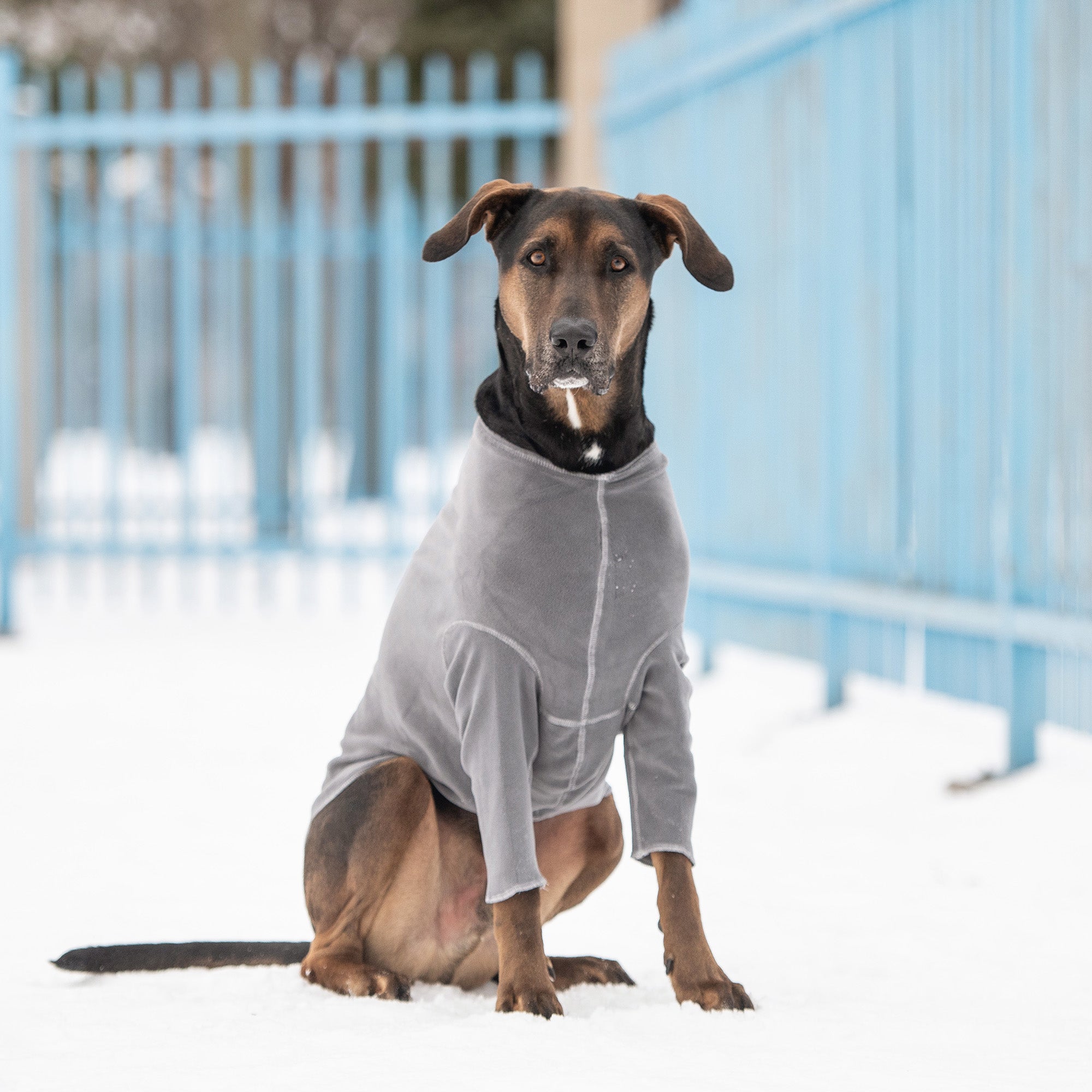 GF PET® Gondola Base Layer - Charcoal (4-Way Stretch Micro Polar Fleece)