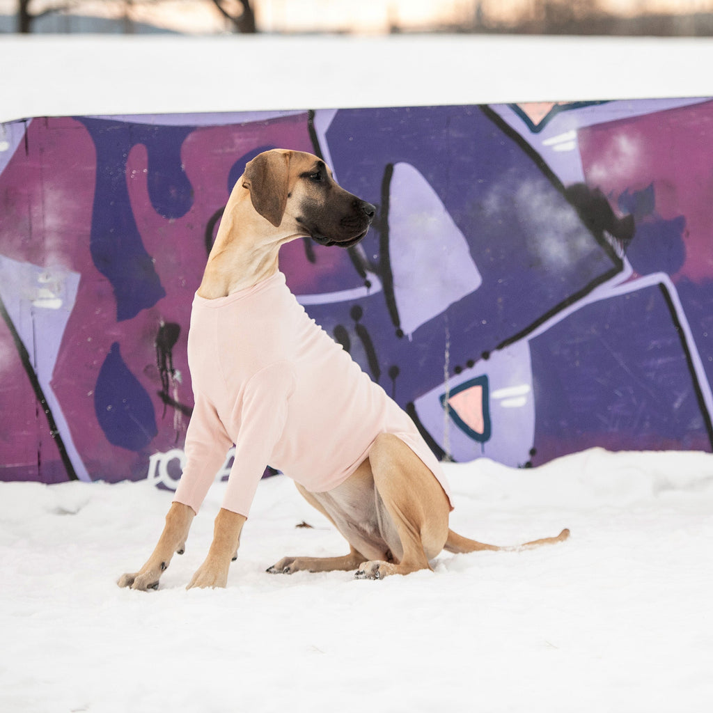 GF PET® Gondola Base Layer - Pink (4-Way Stretch Micro Polar Fleece)