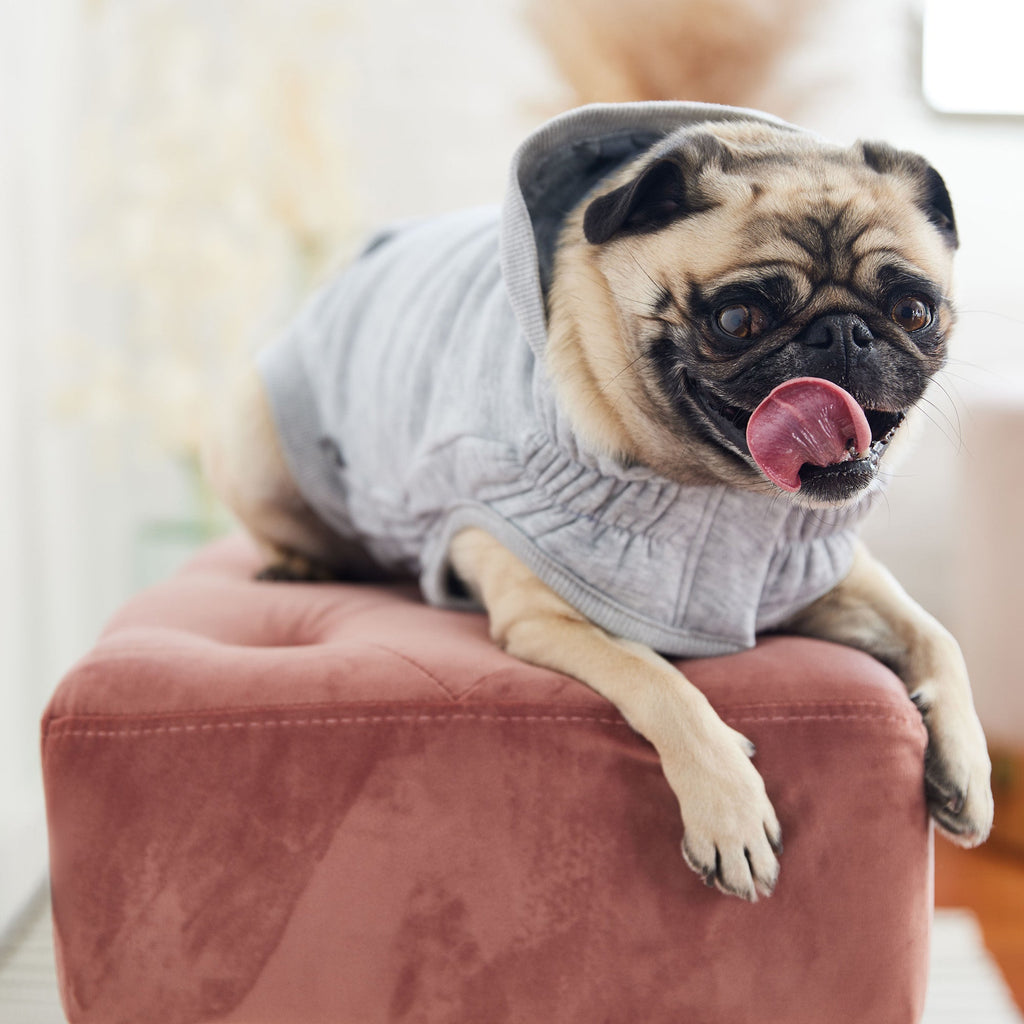 GF PET® Urban Dog Hoodie - Heather Grey (Essential Streetwear & Kangaroo Pocket)y
