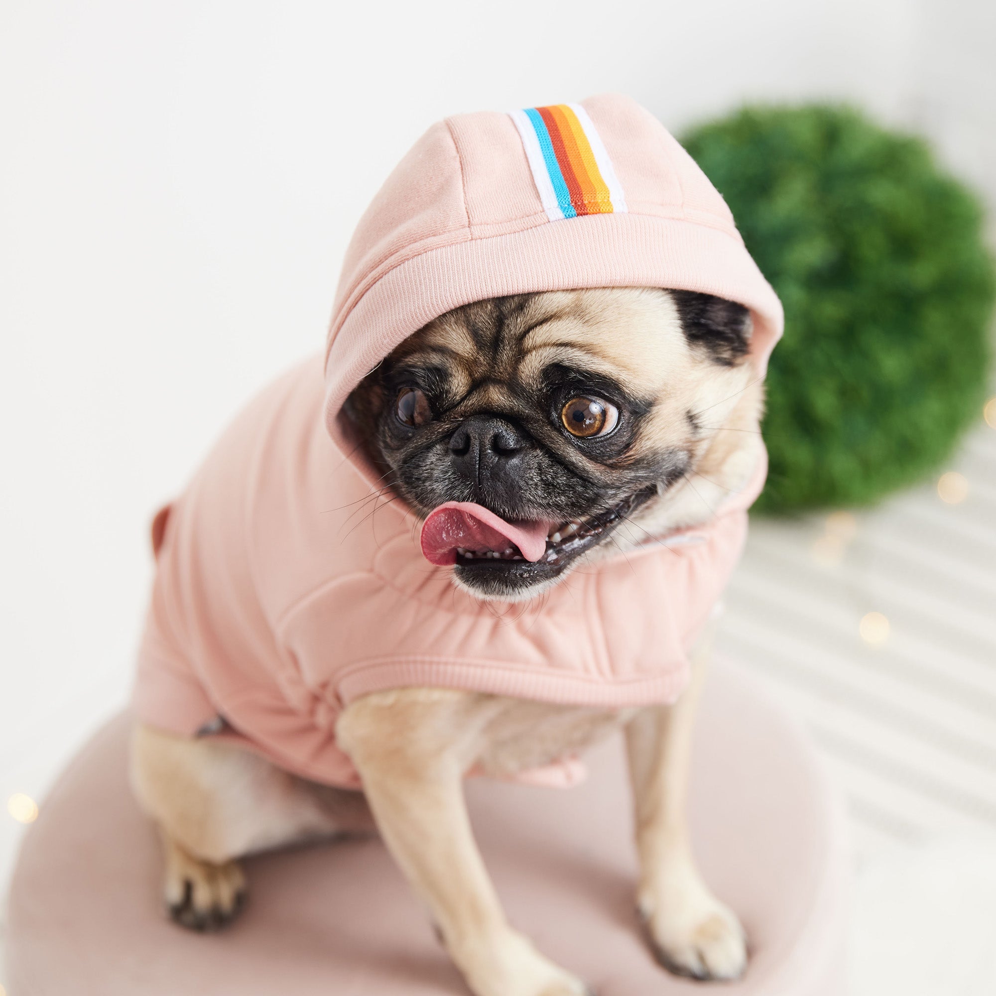 GF PET® Urban Dog Hoodie - Pink (Classic Kangaroo Pocket & Retro Design)