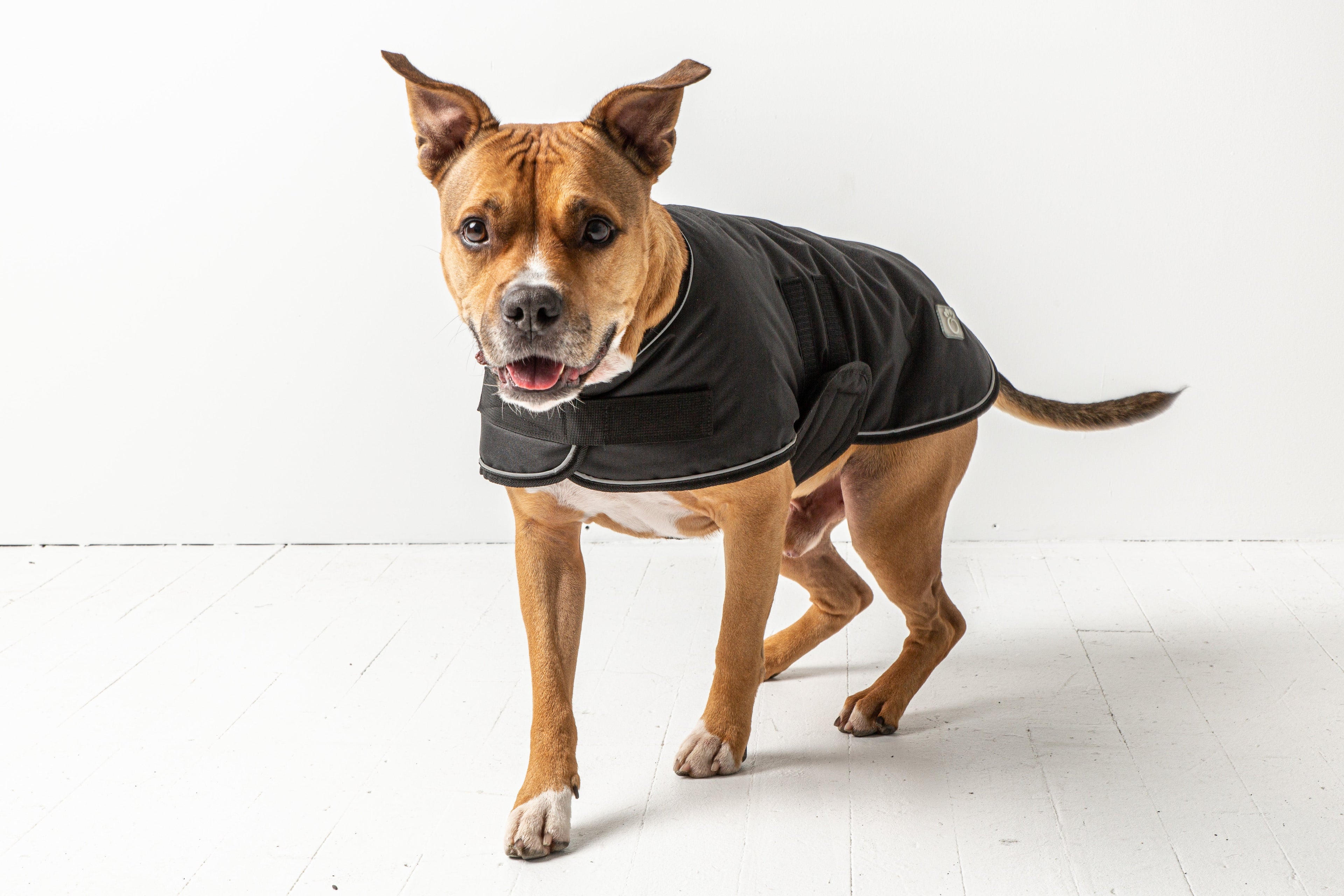 GF PET® Waterproof Blanket Jacket - Black (Durable Oxford & Fleece Lined)